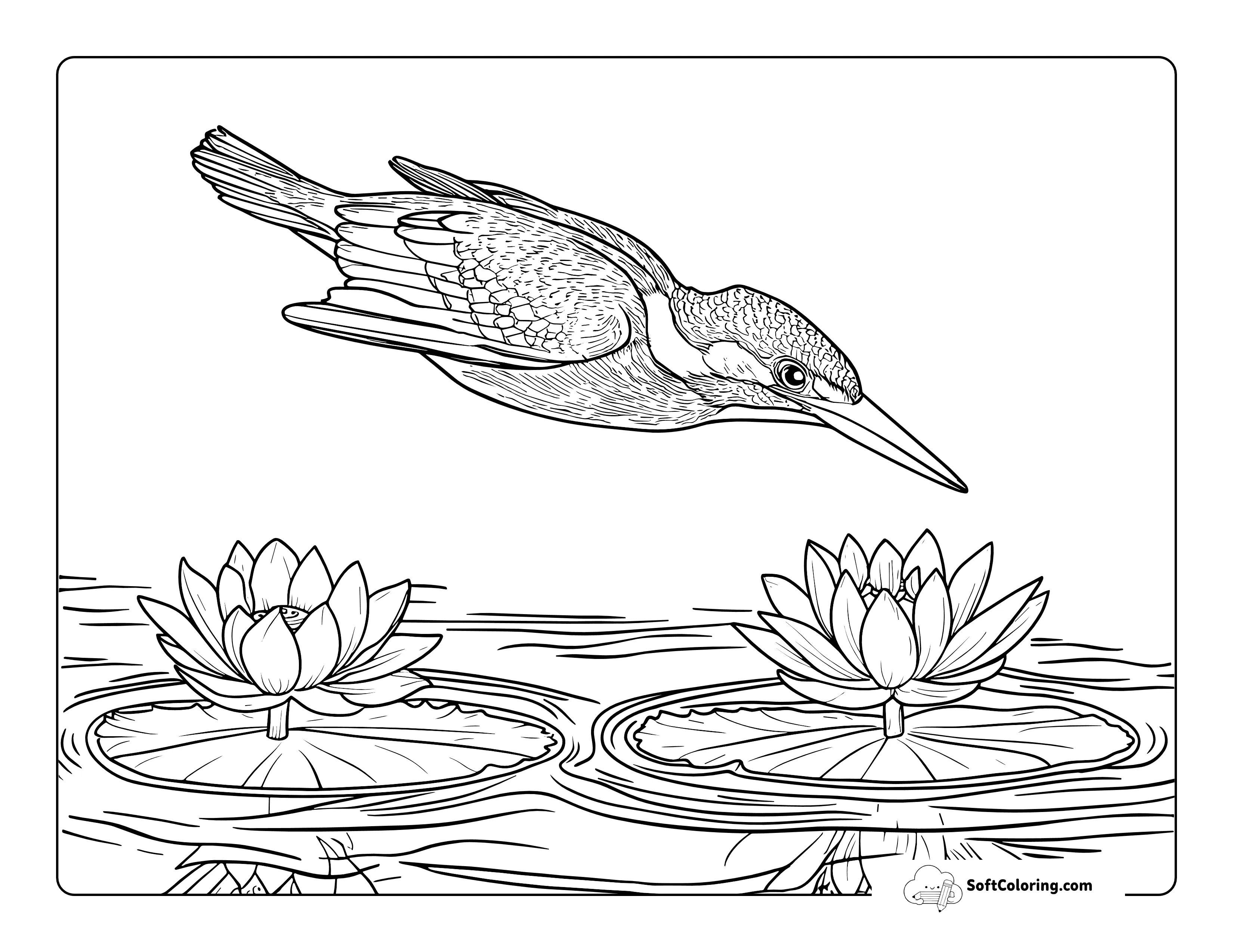 Realistic Bird And Water Lily Coloring Sheet