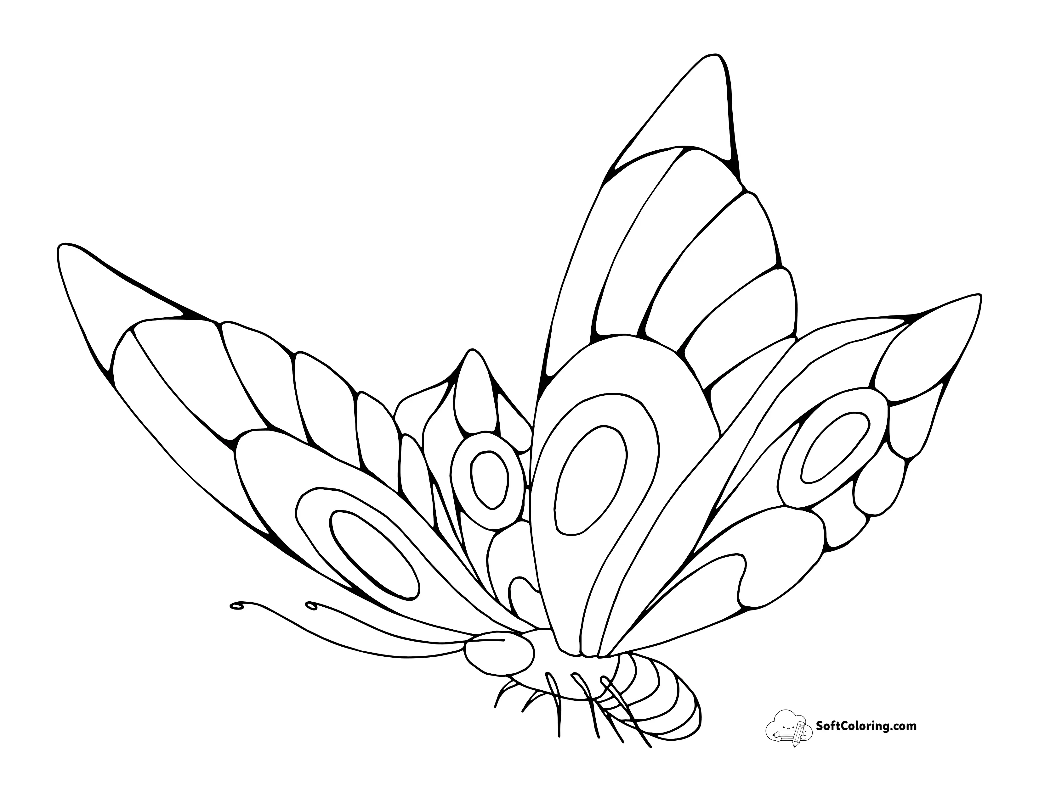Flying Butterfly Picture To Color