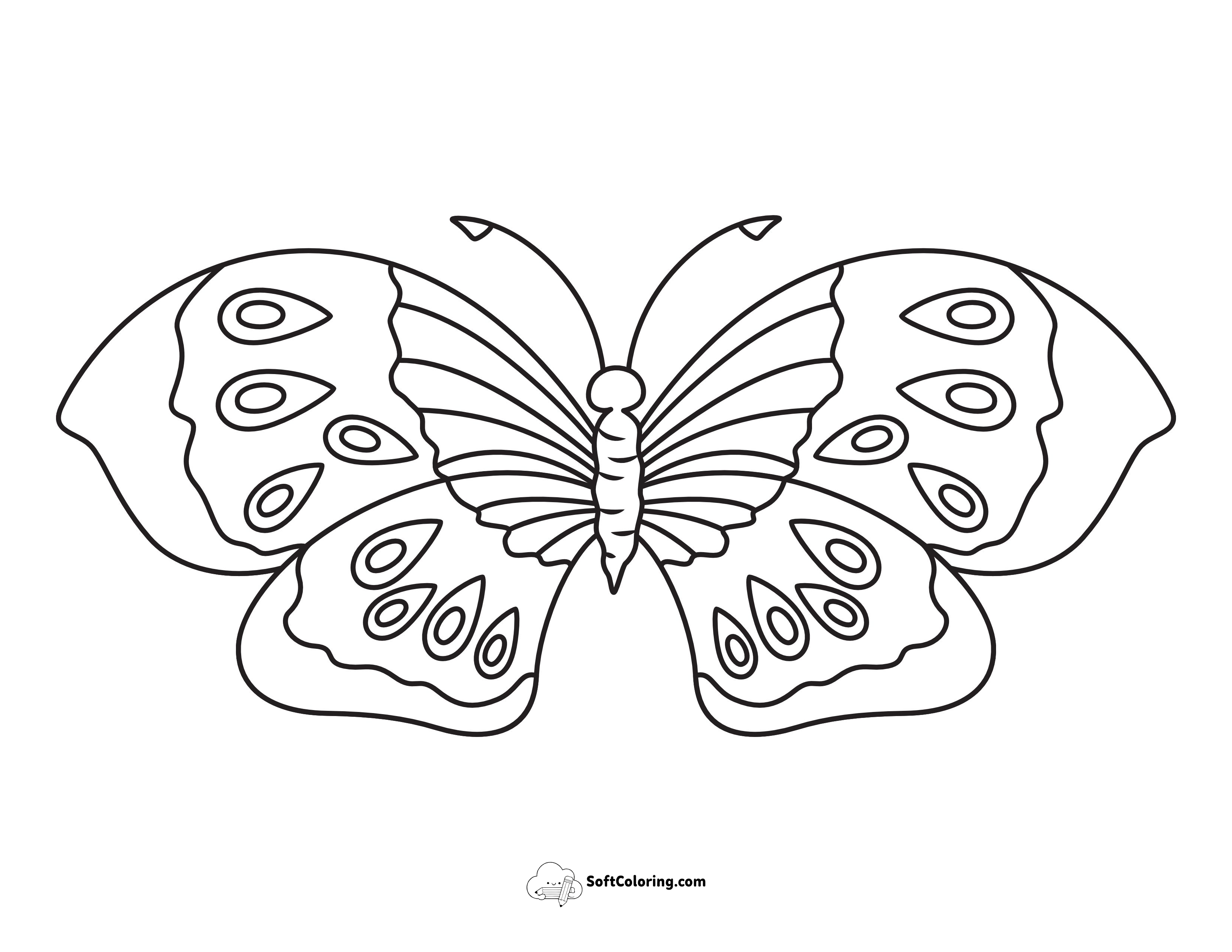 Free Printable Wide-Wing Butterfly Coloring Page