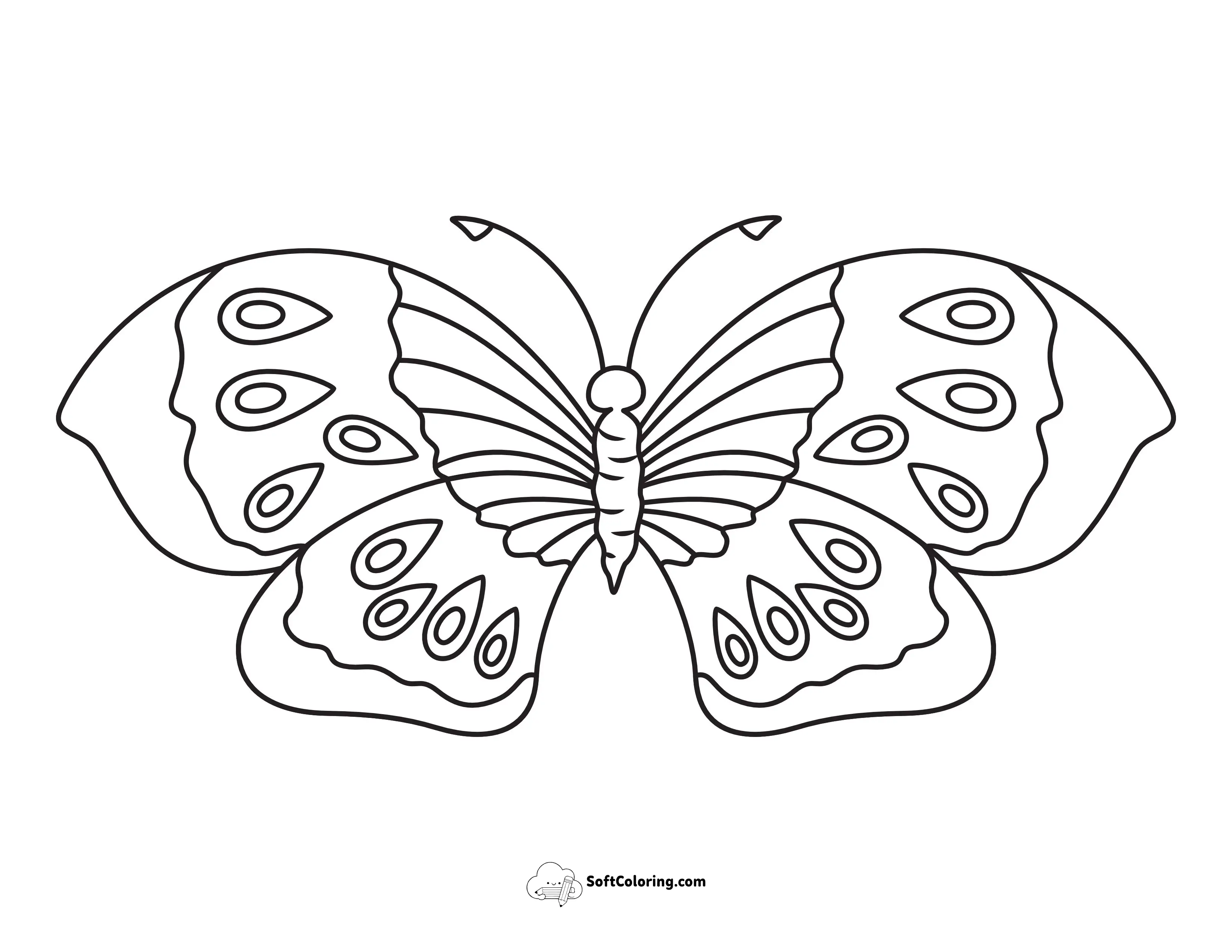Free Printable Wide-Wing Butterfly Coloring Page