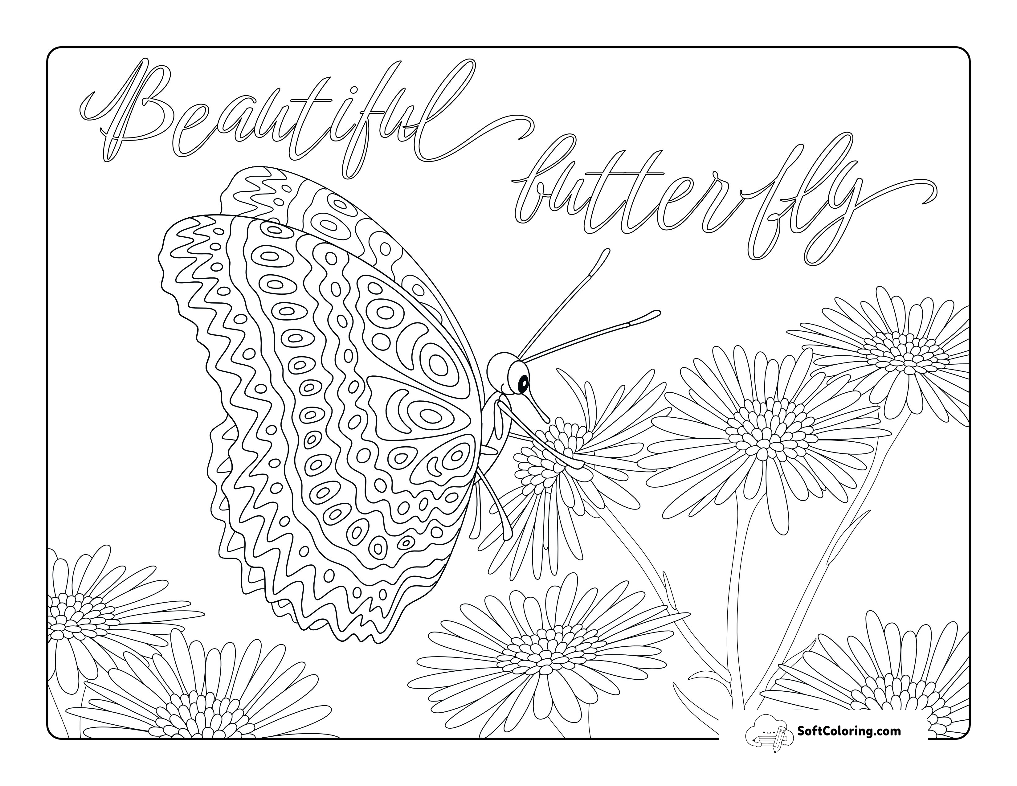 Beautiful Butterfly With Daisies Adult Coloring Sheet