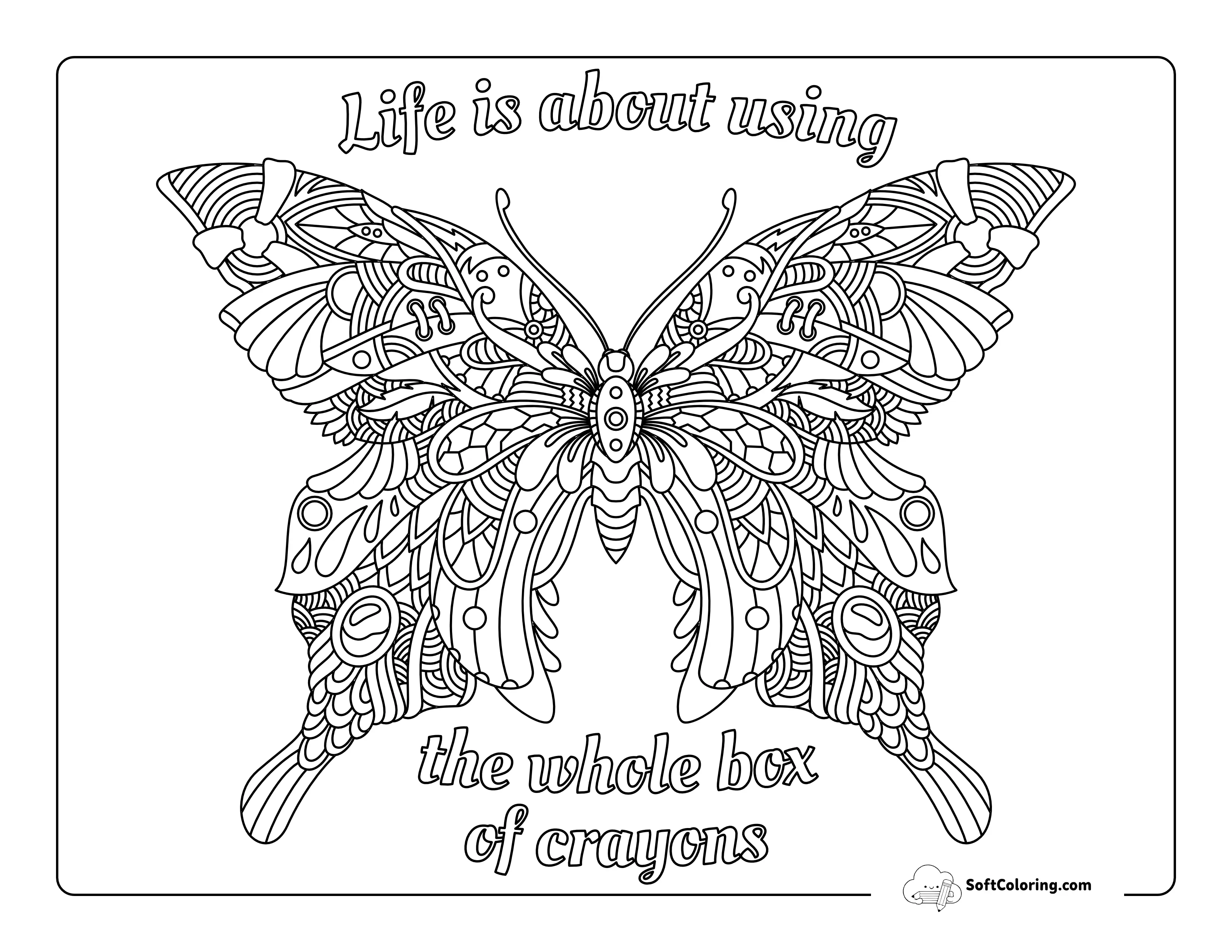 Detailed Butterfly Wings Drawing To Color