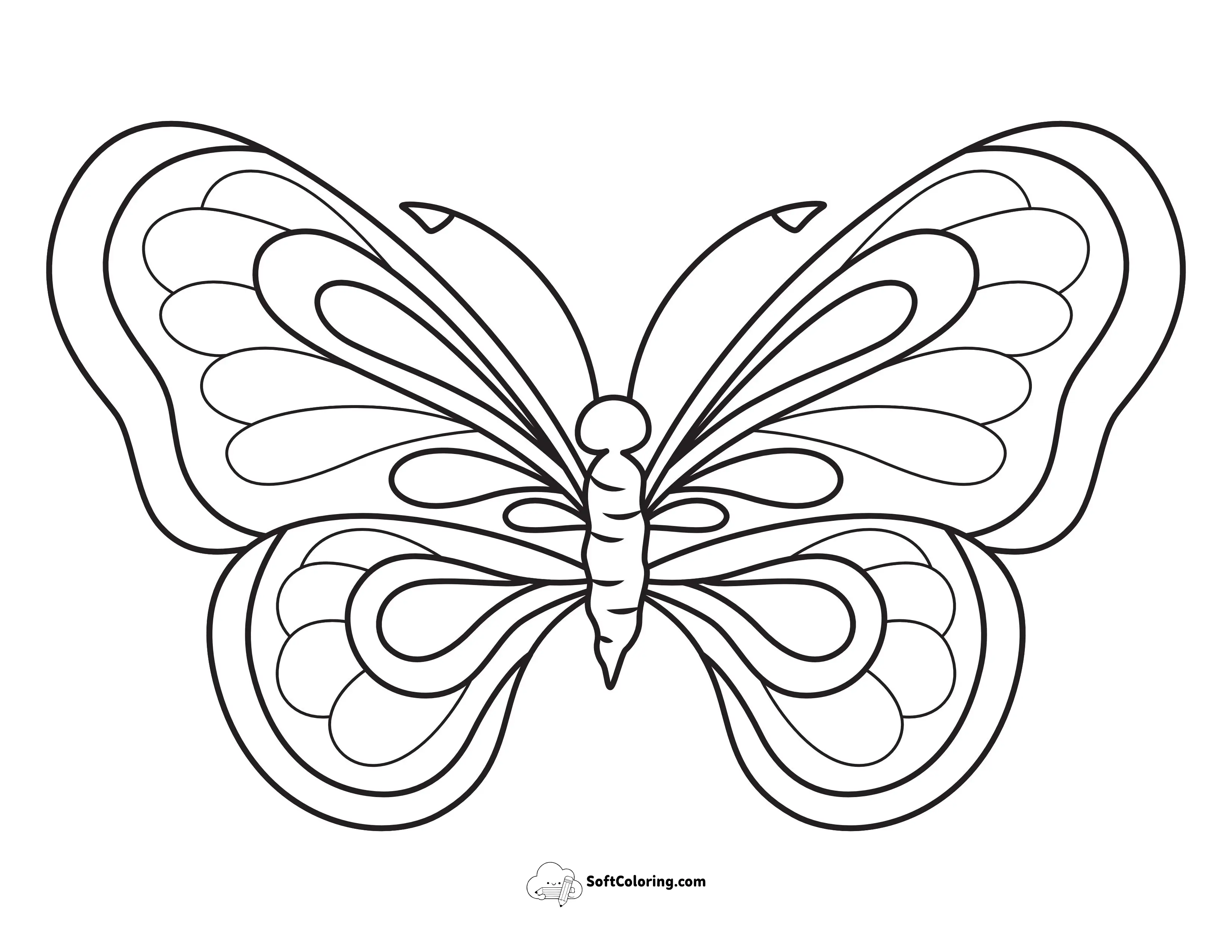 Beautiful Butterfly With Symmetrical Wing Patterns