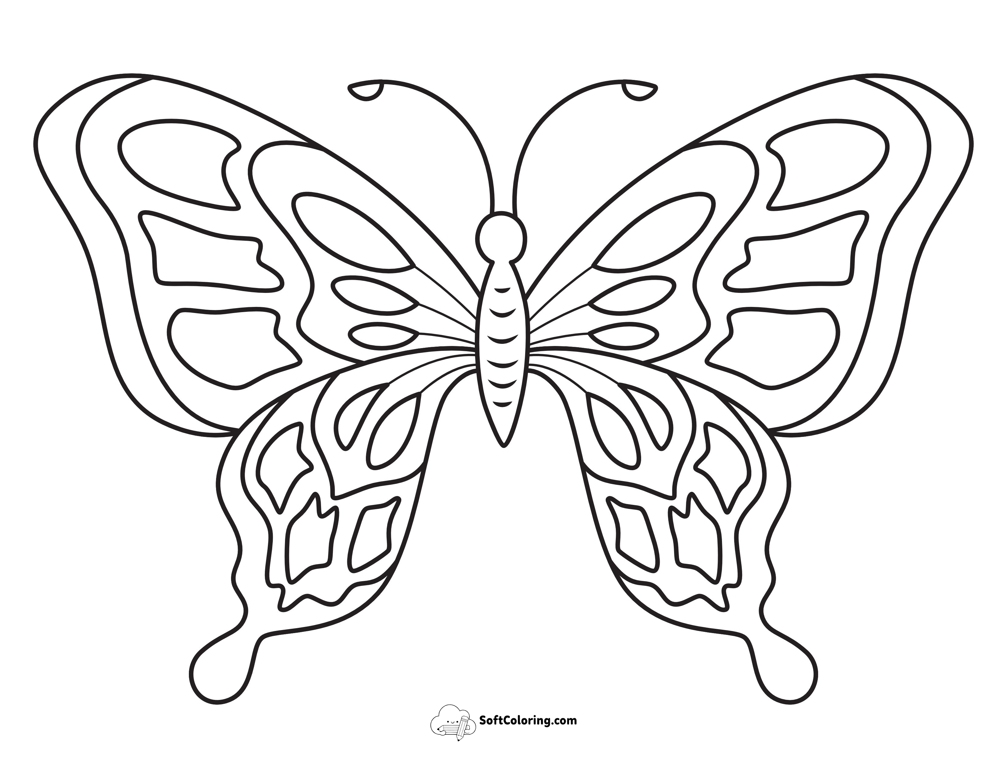 Easy Symmetrical Butterfly For Kids