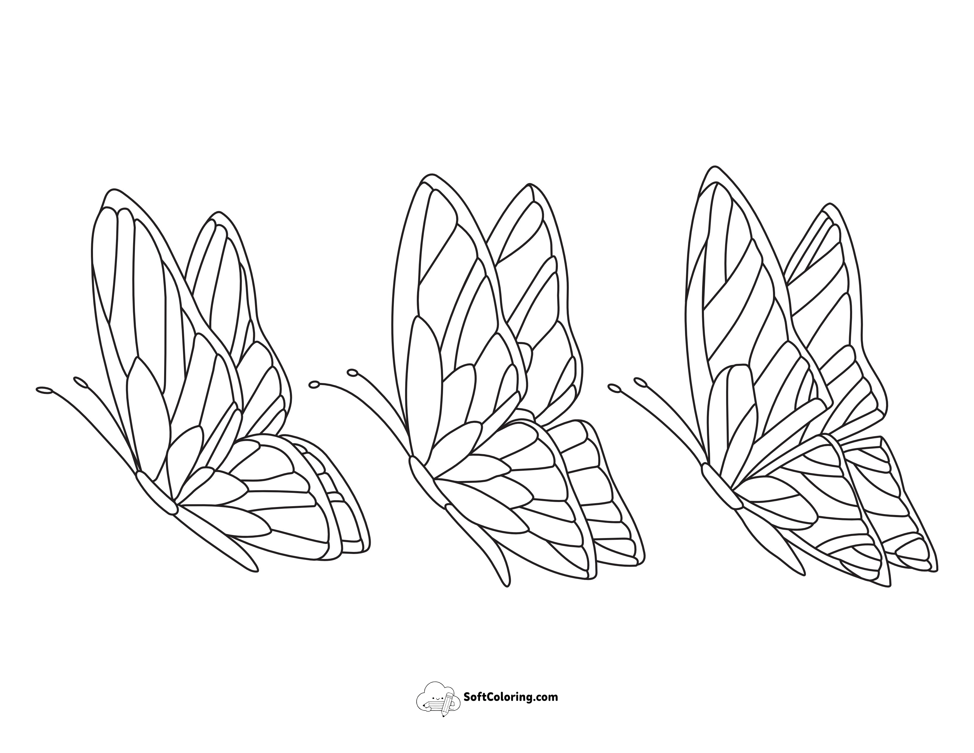 Set Of 3 Butterflies To Color