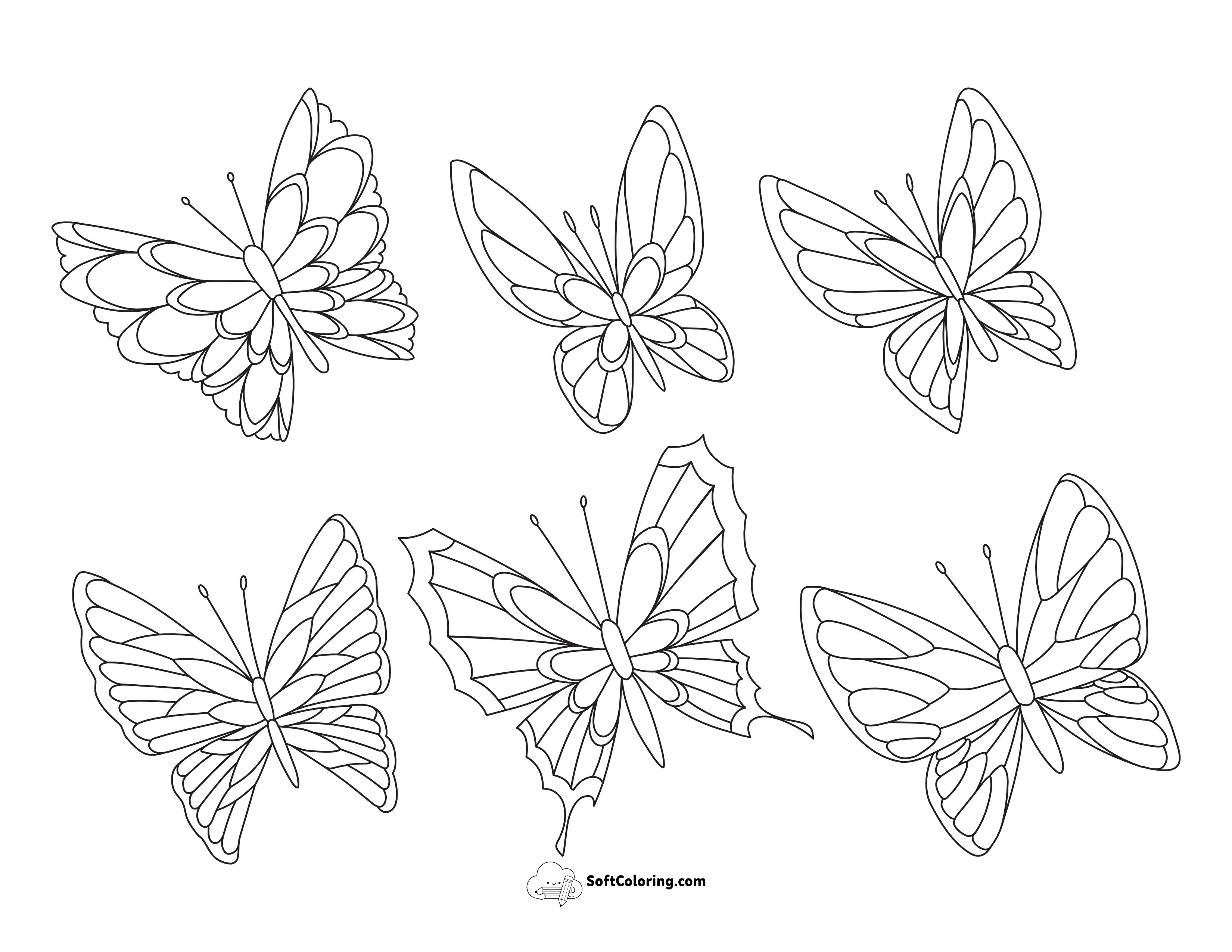 Set Of 6 Patterned Butterflies To Color