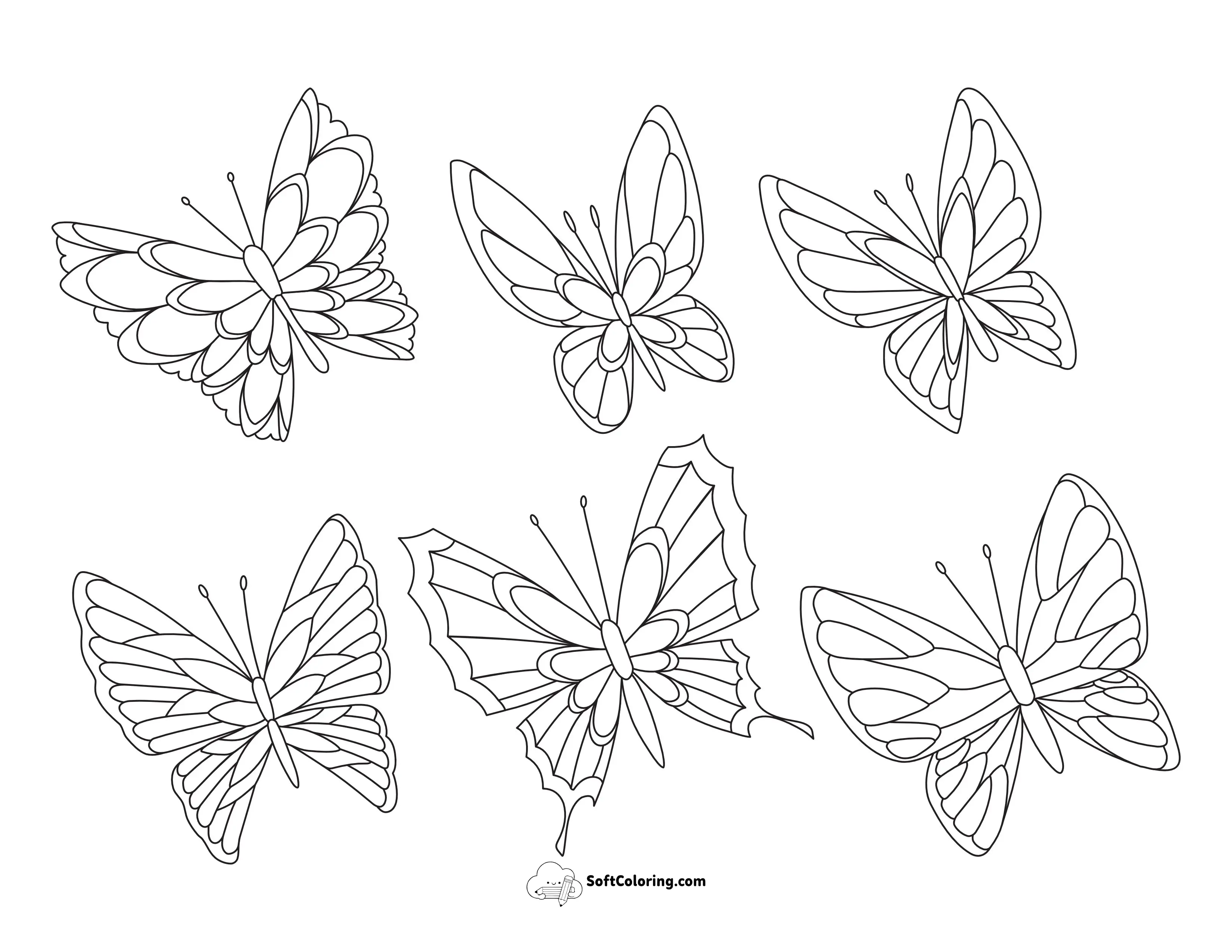 Set Of 6 Patterned Butterflies To Color