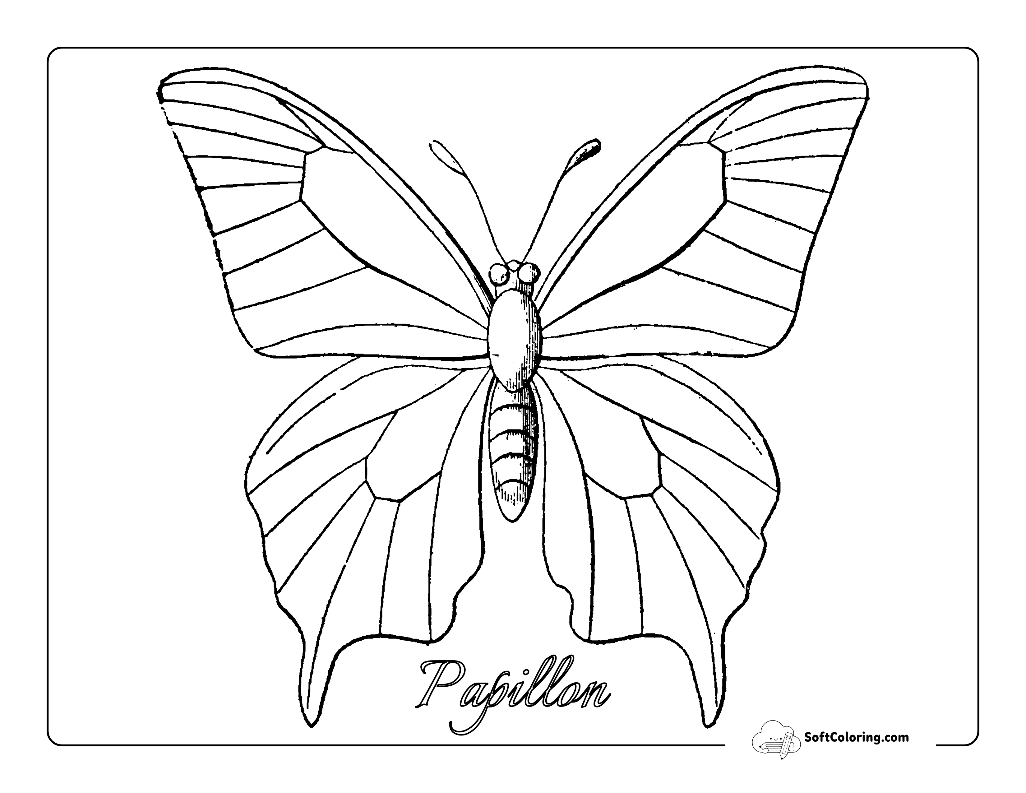 Butterfly Sketch To Color
