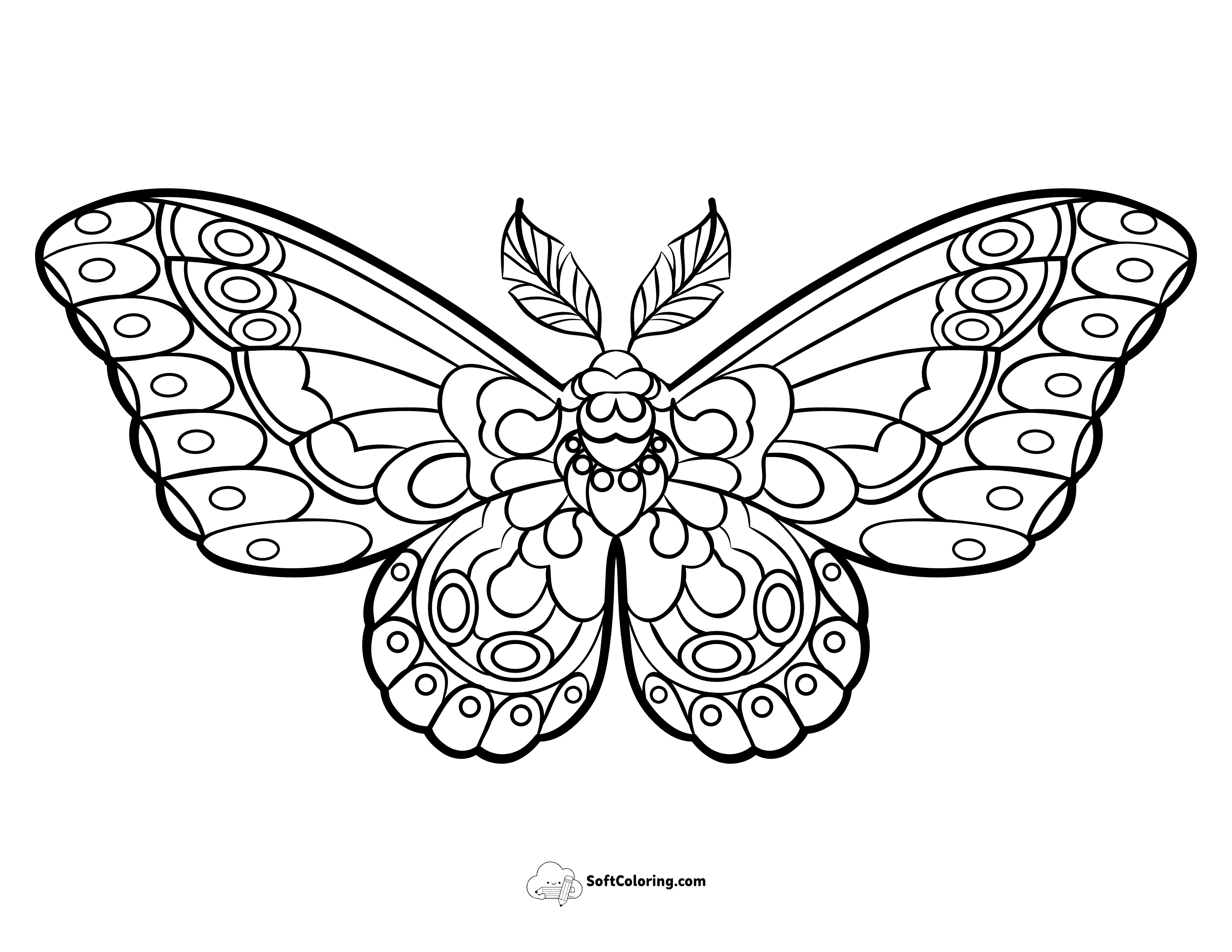 Butterfly With Feathered Antennae To Color