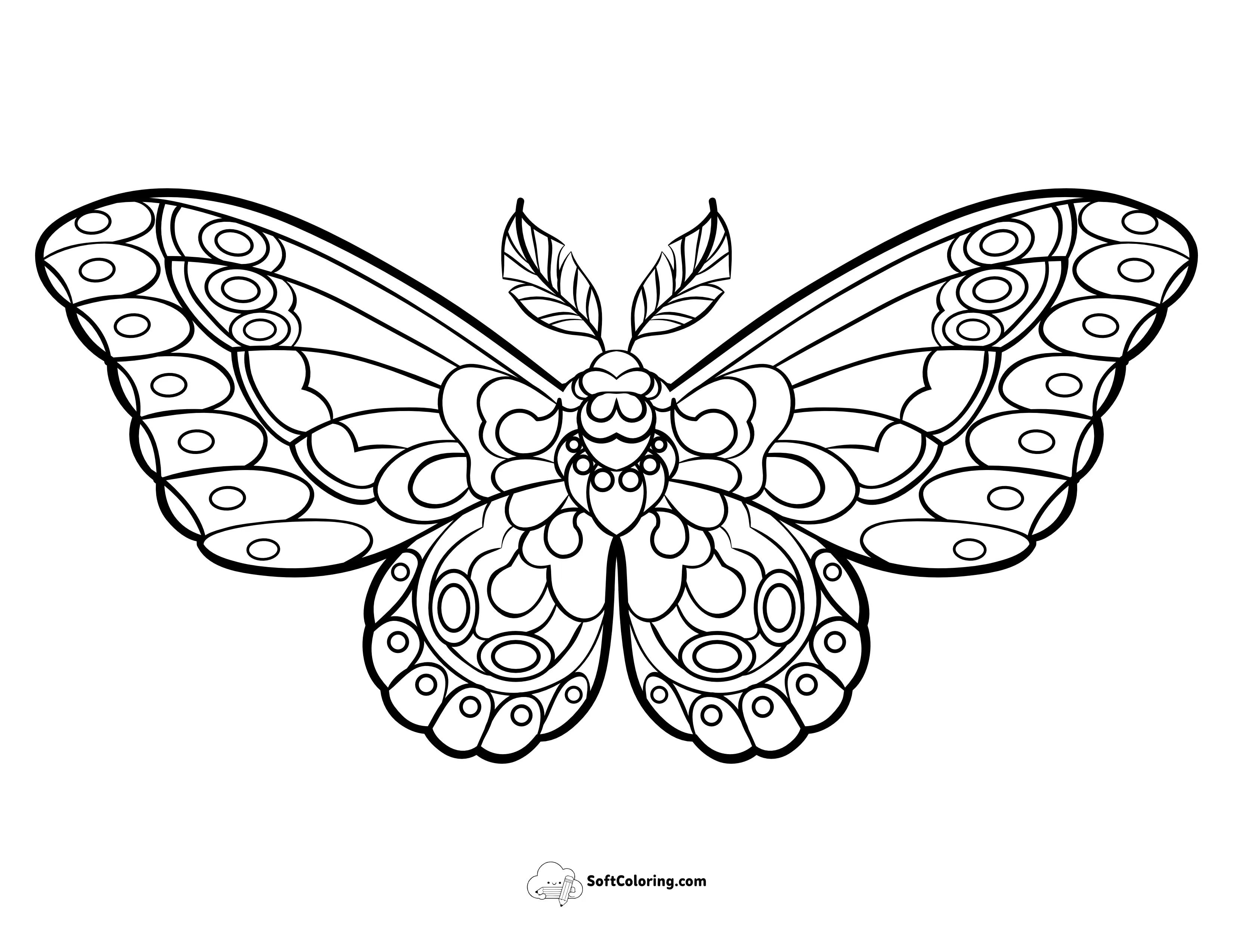 Butterfly With Feathered Antennae To Color