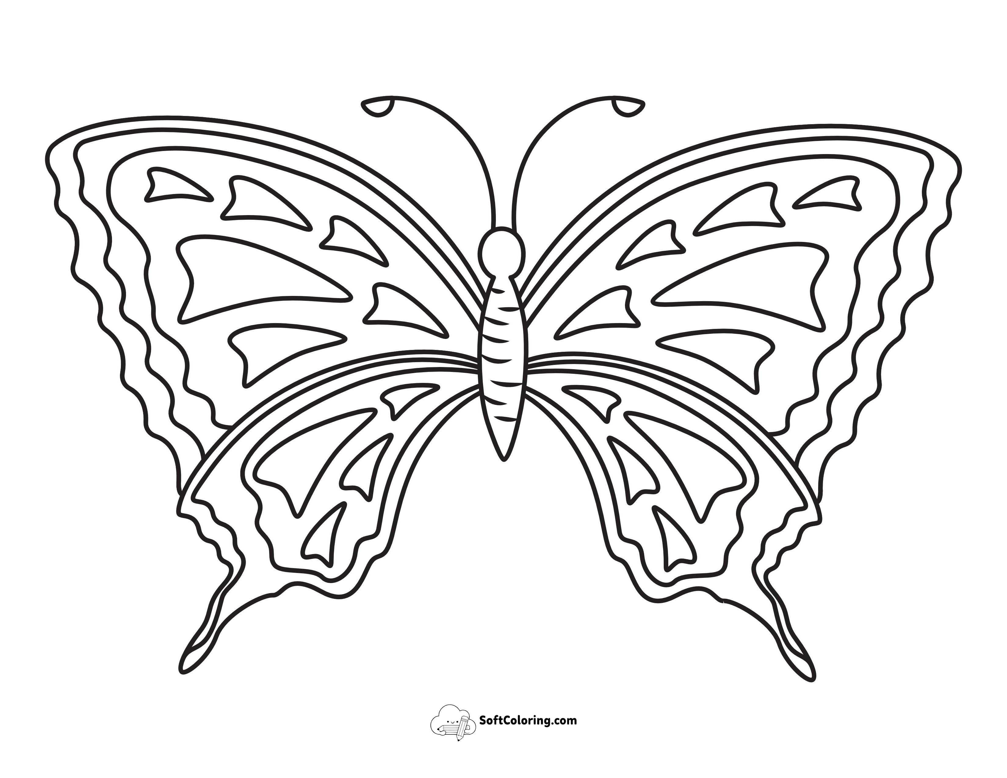 Beautiful Swallowtail Butterfly With Detailed Borders