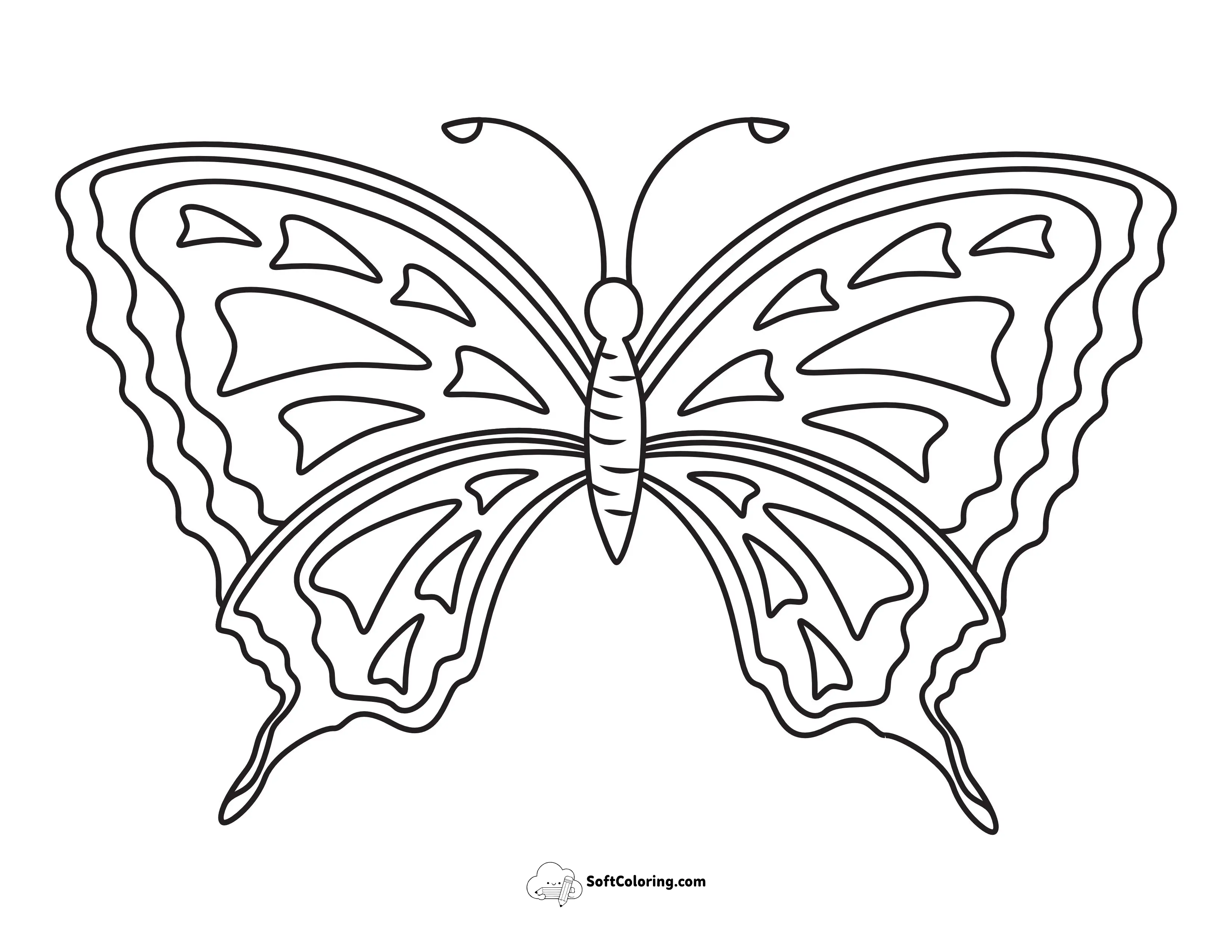 Beautiful Swallowtail Butterfly With Detailed Borders