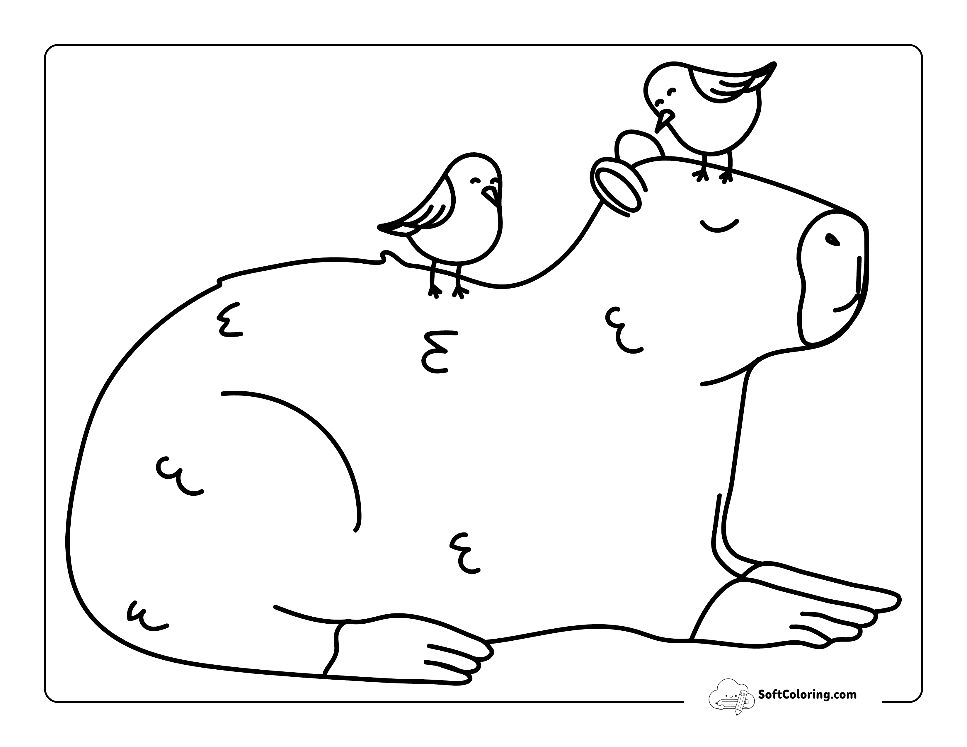 Cute Easy Capybara With Birds - Relaxing Capybara