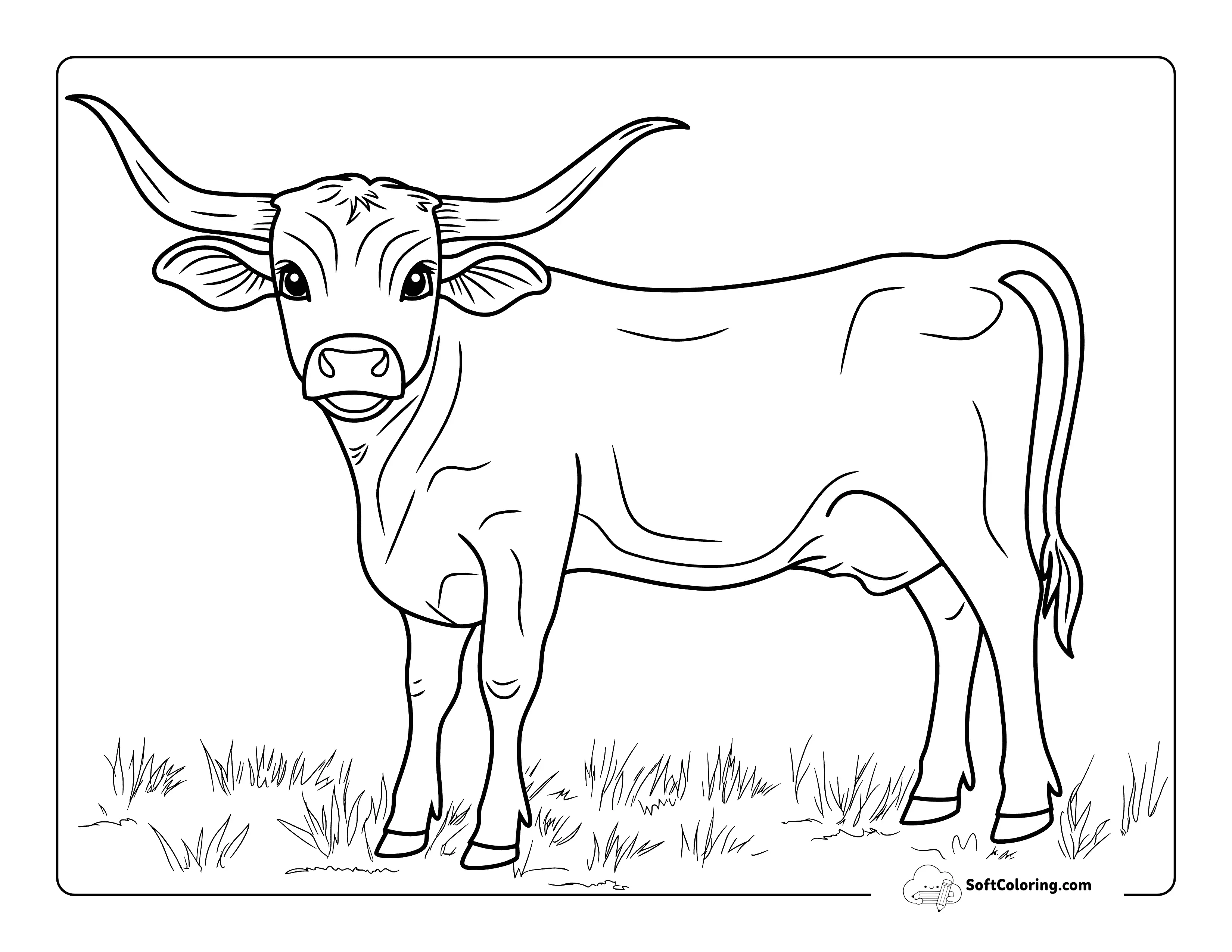 Simple Longhorn Cow Coloring Page For Kids