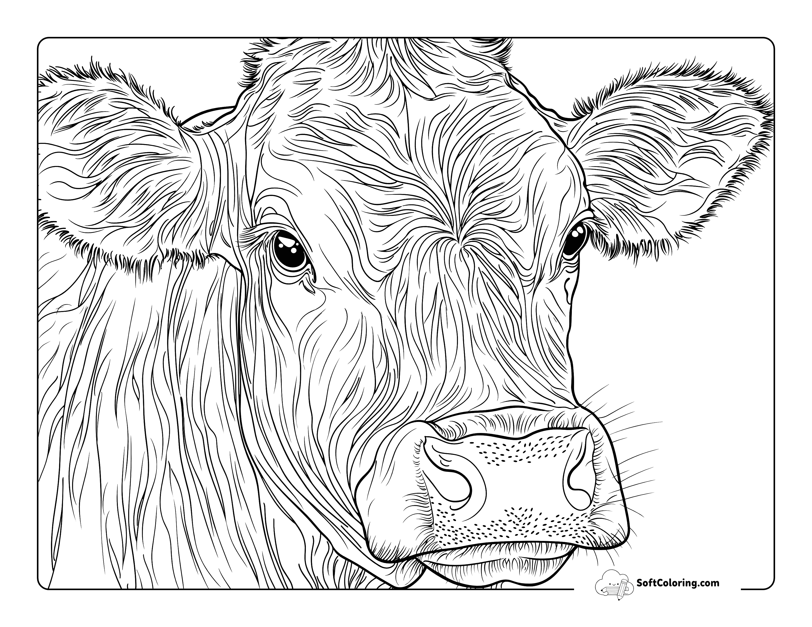 Realistic Cow Head Coloring Page For Adults