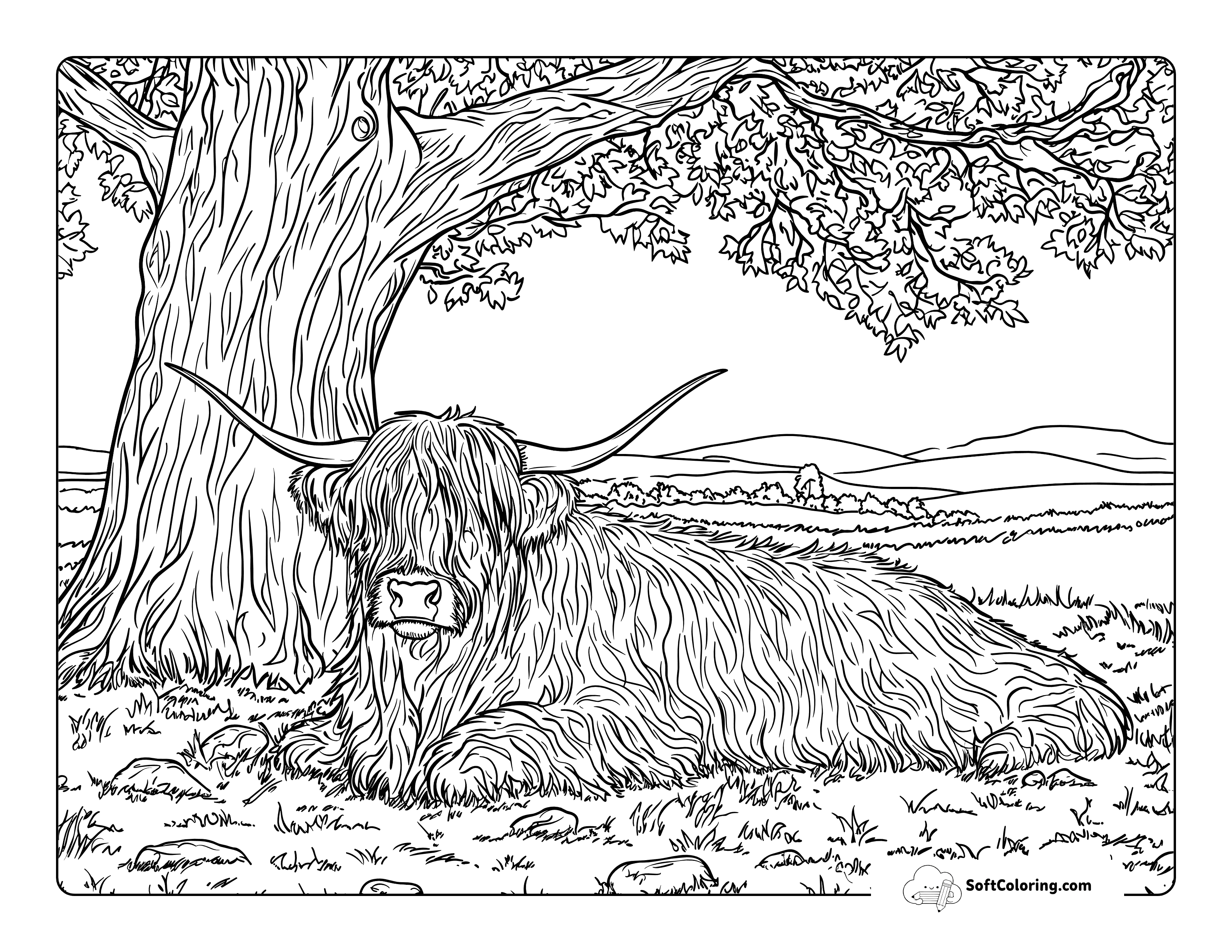 Realistic Highland Cow Under Tree Coloring Page For Adults
