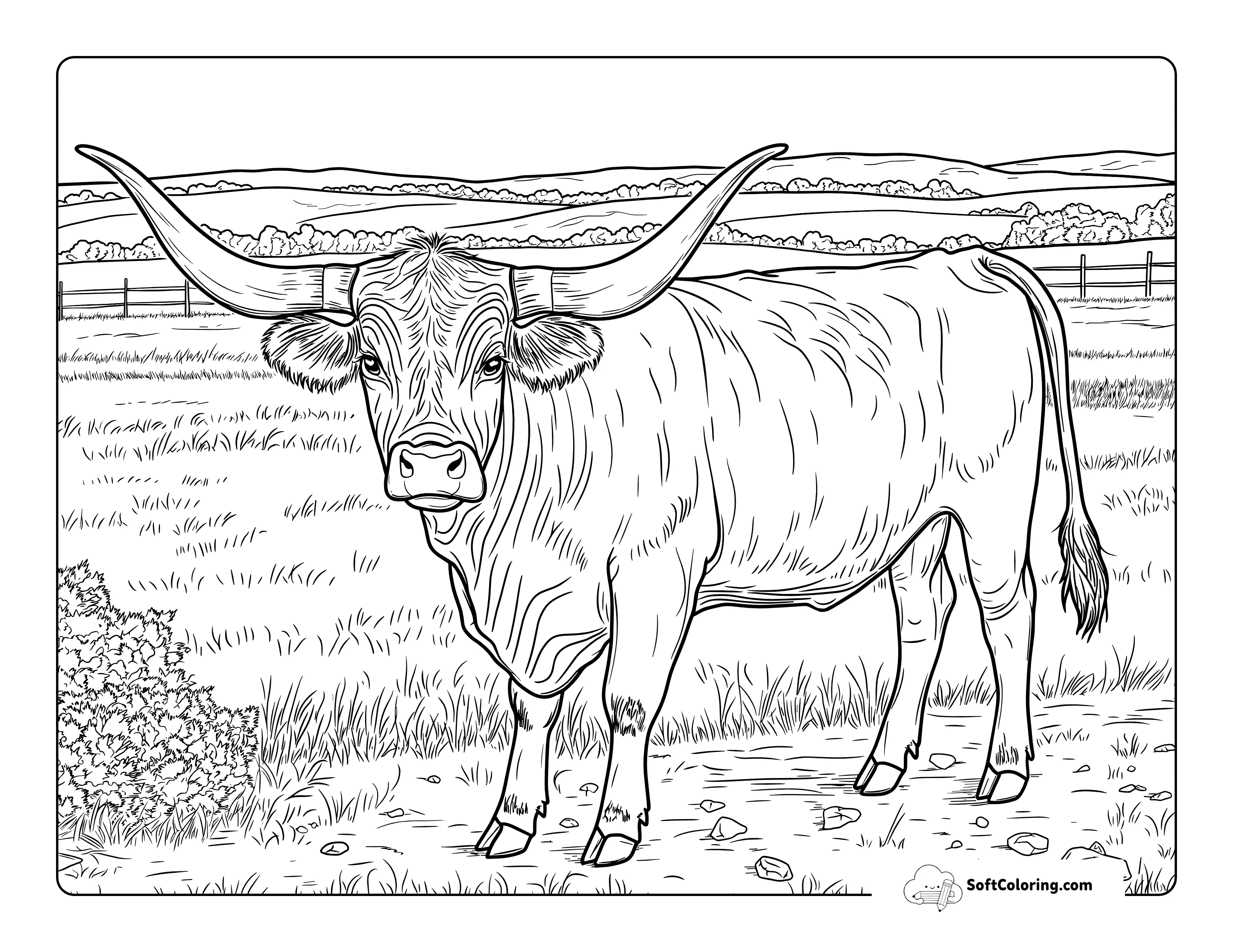Realistic Longhorn Cow Coloring Page For Adults