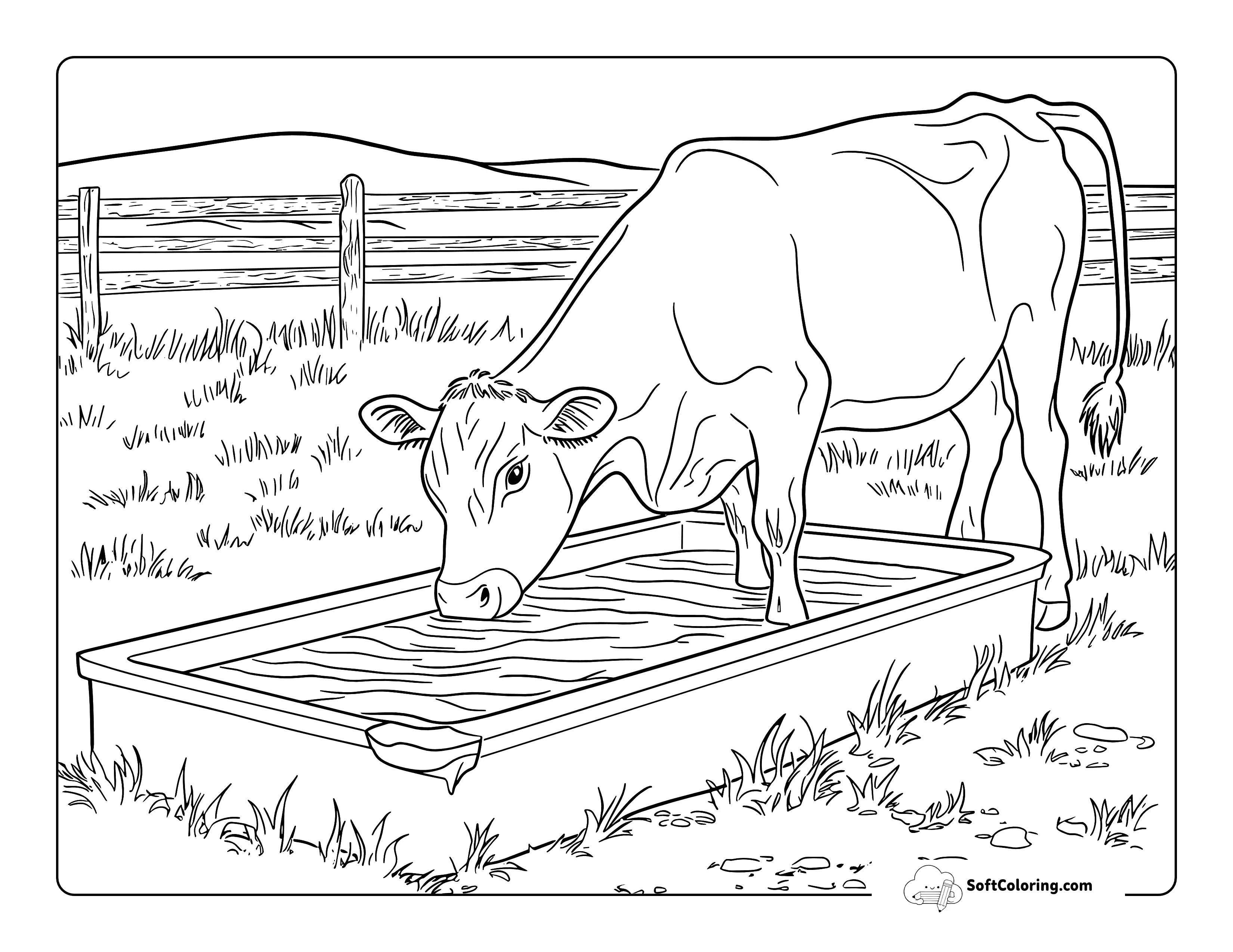 Simple Drinking At Trough Cow Coloring Page