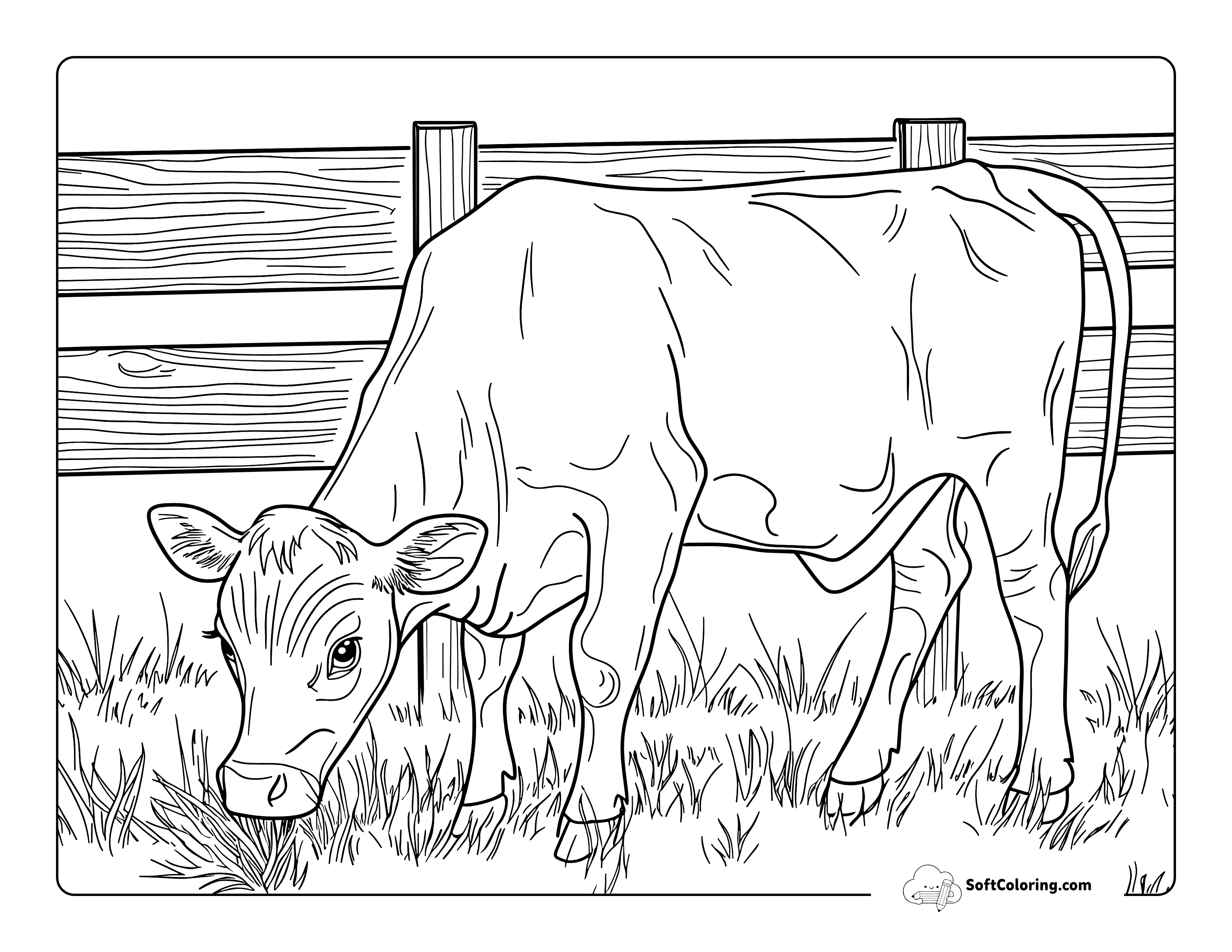 Realistic Grazing Cow Coloring Page