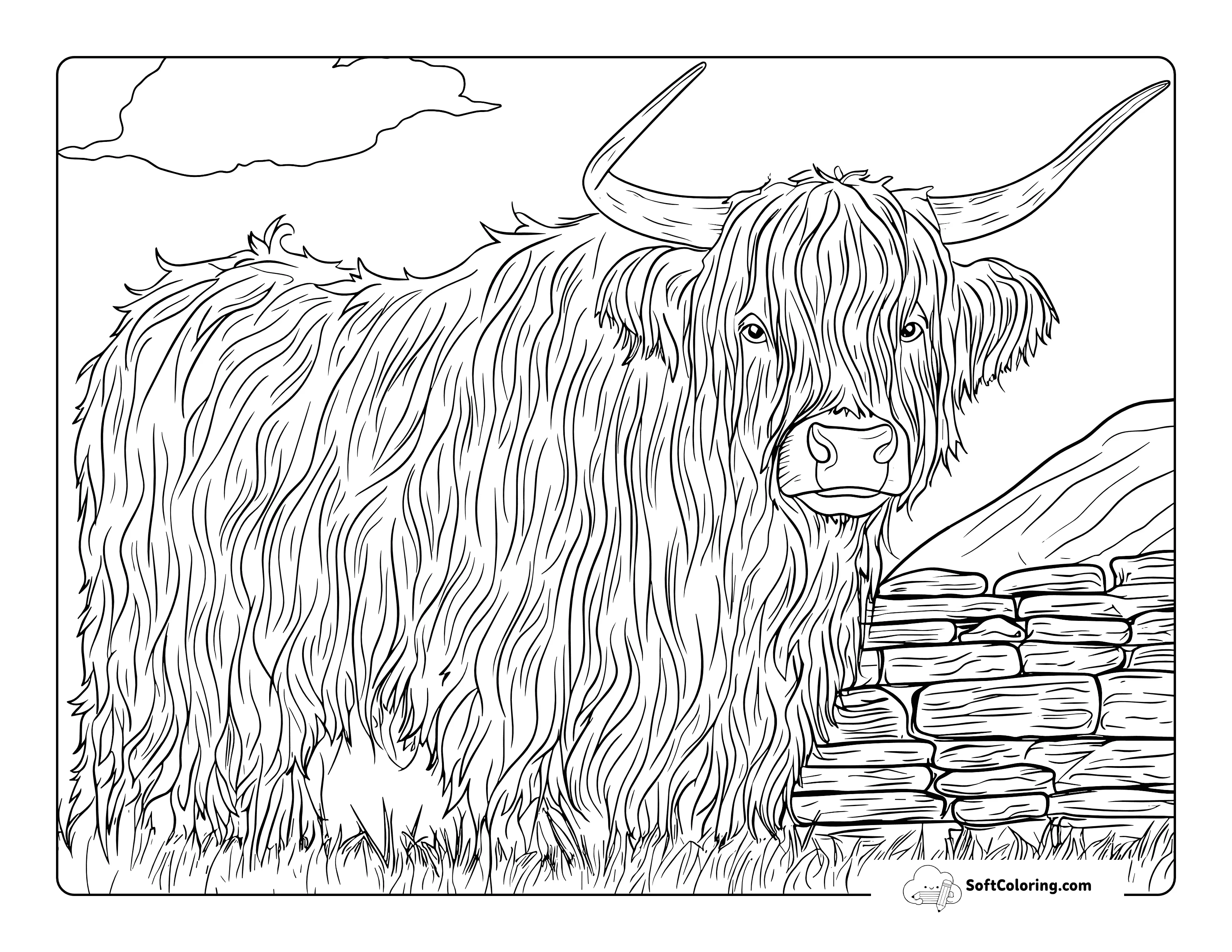 Shaggy Highland Cow Coloring Sheet For Adults
