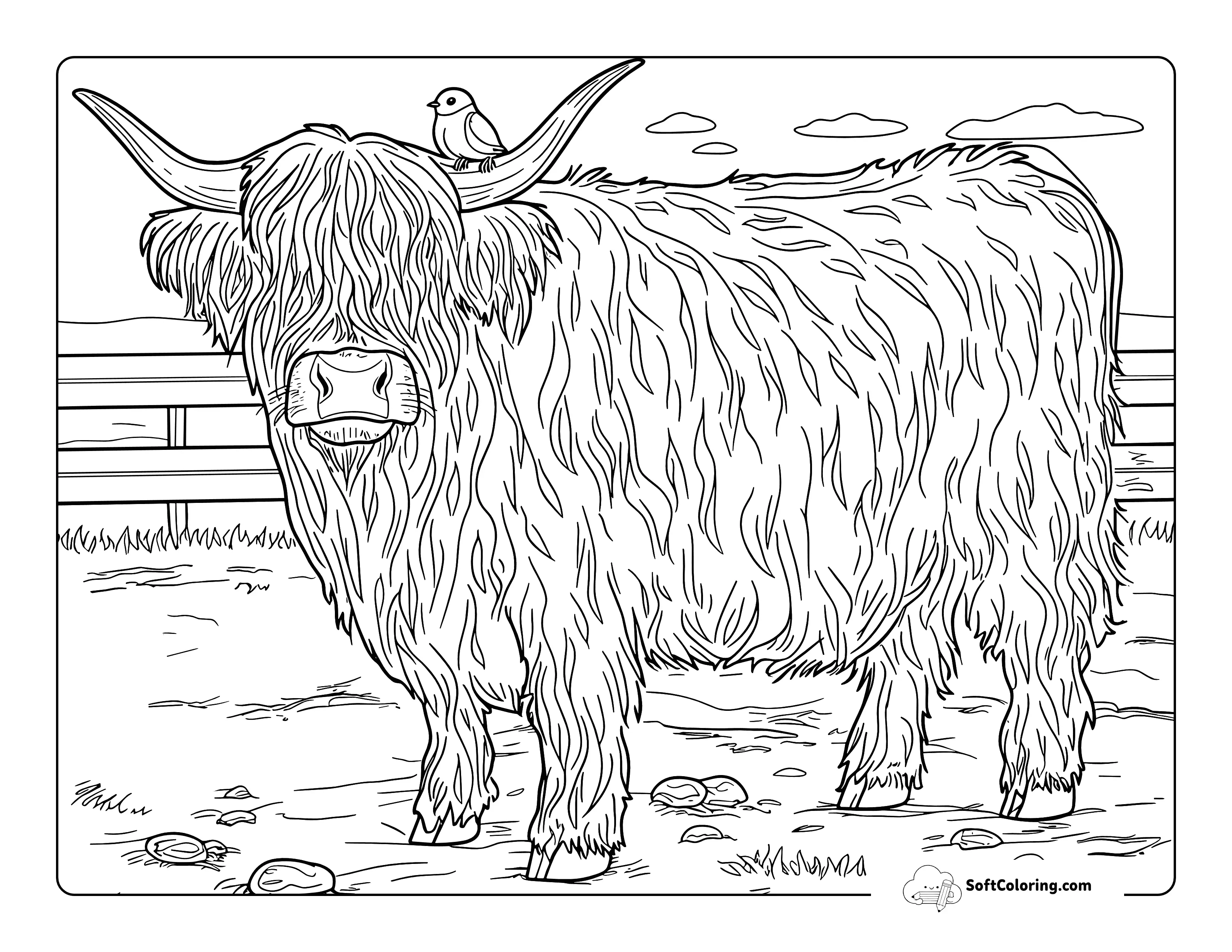 Simple Highland Cow Printable To Color