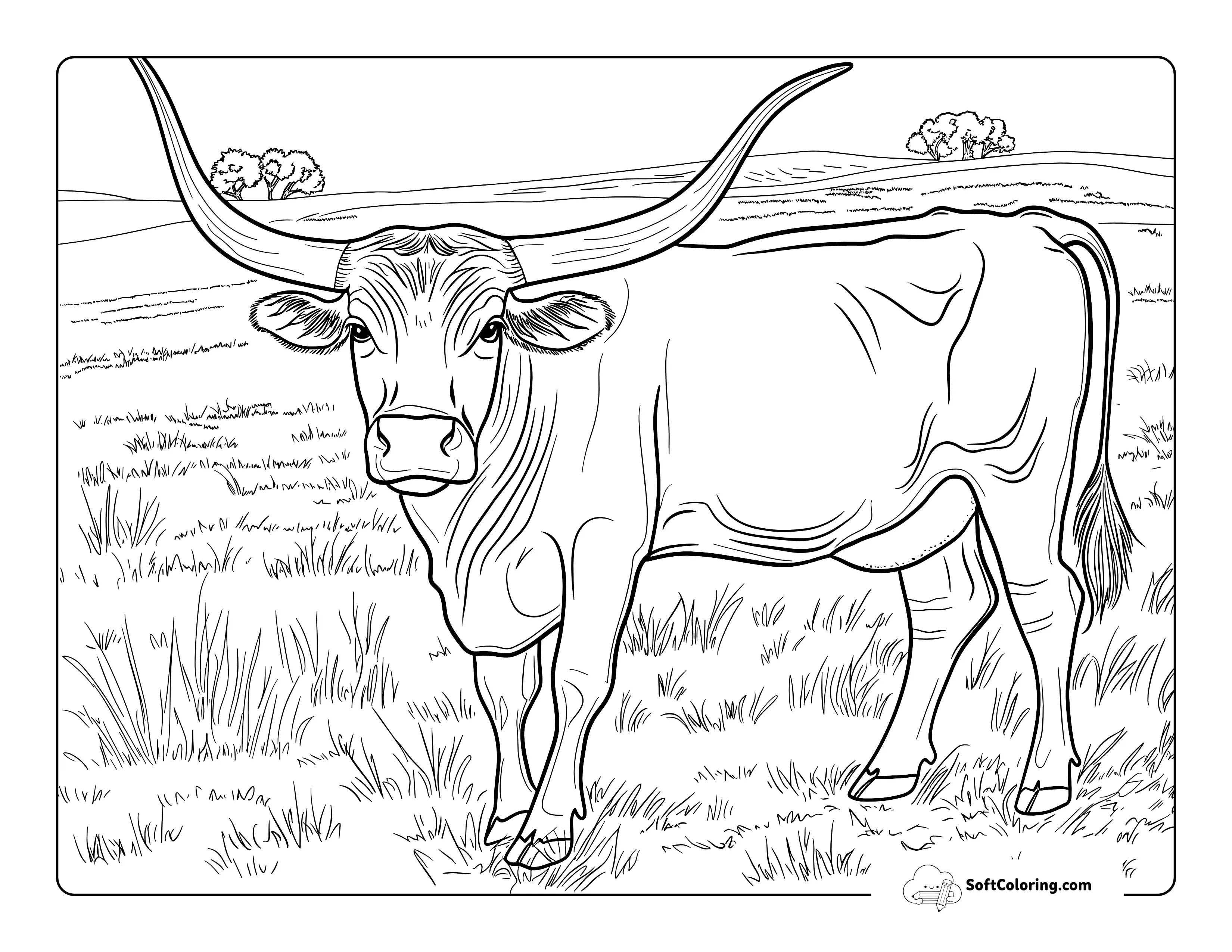 Simple And Realistic Longhorn Cow Coloring Page Printable