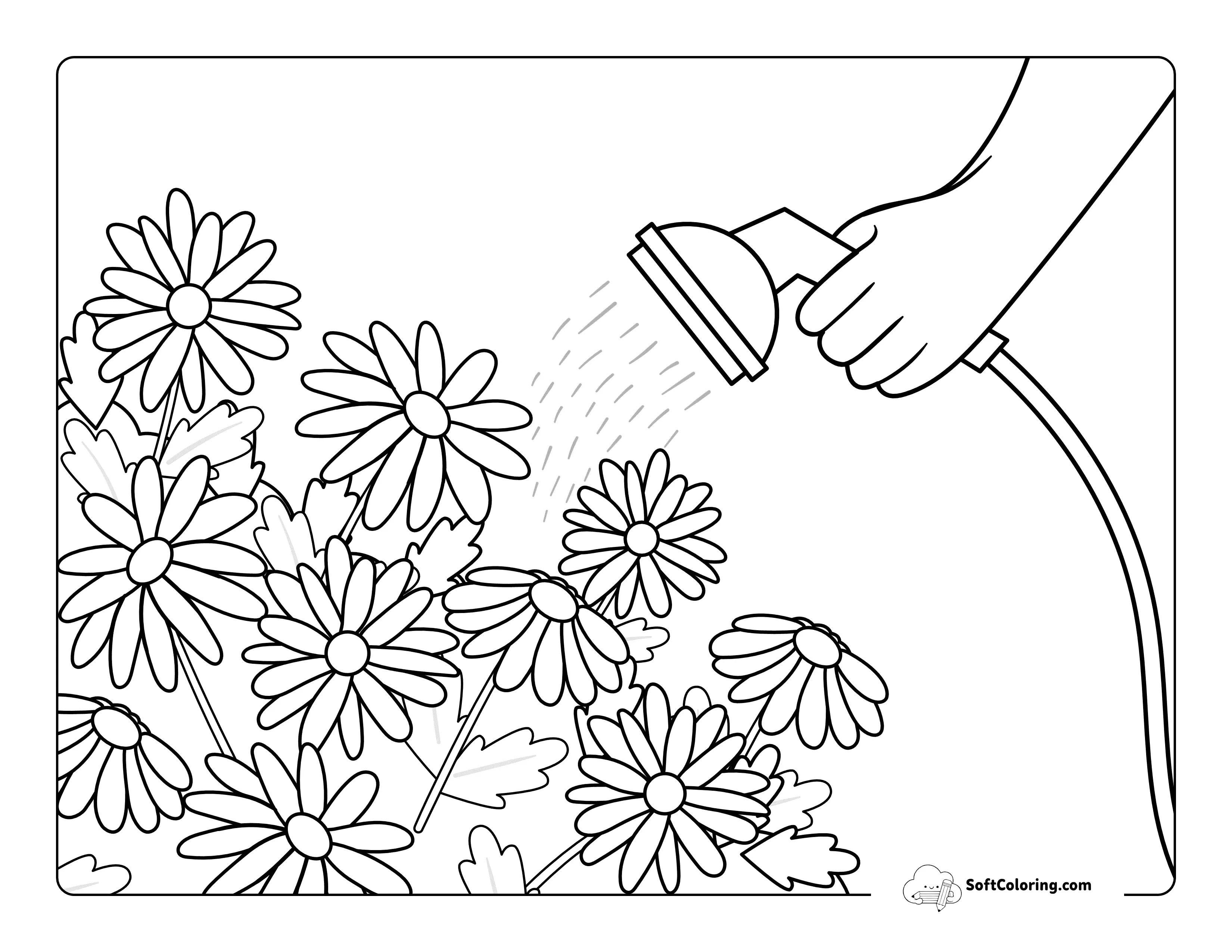 Simple Watering Flowers Daisy Coloring Sheet