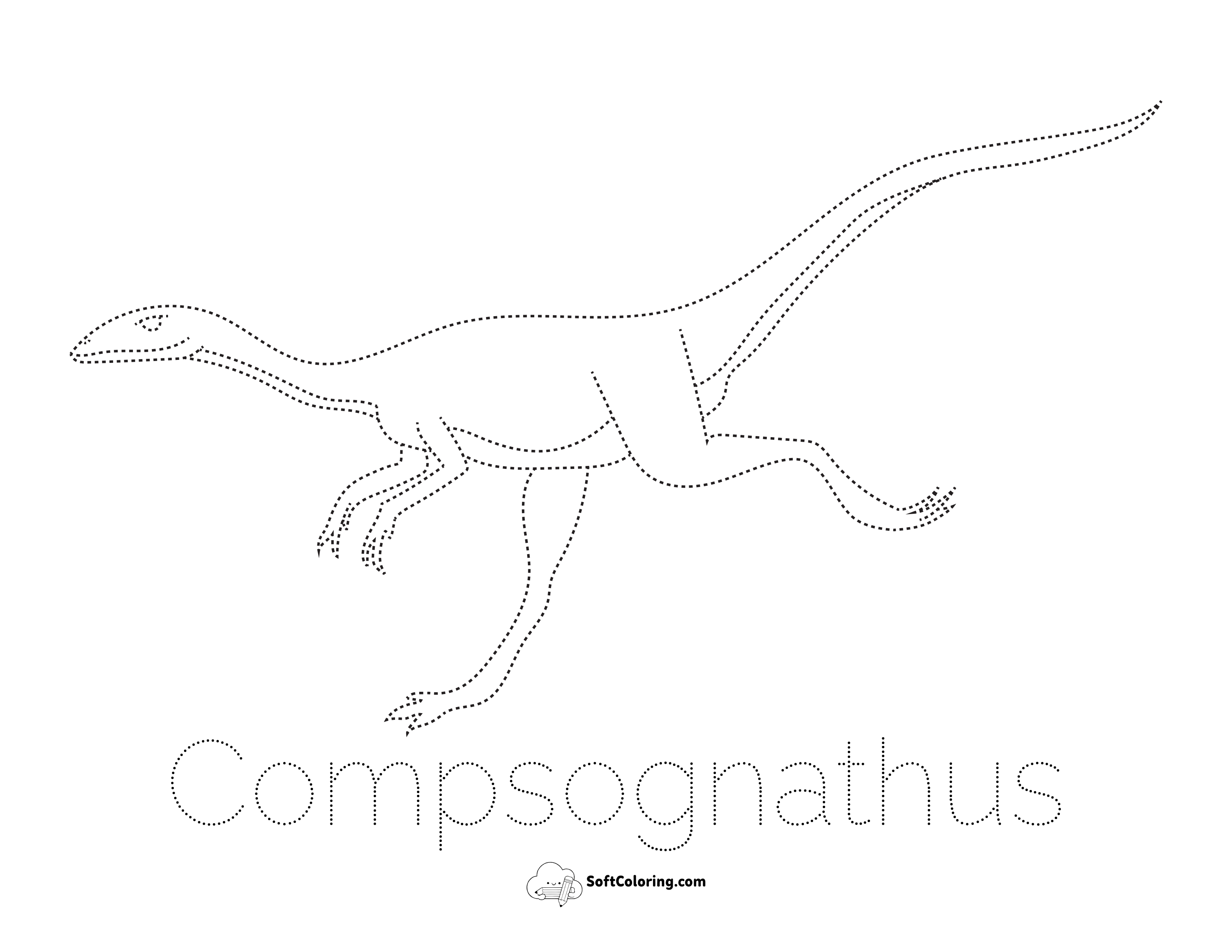 Easy Compsognathus Dinosaur Outline Activity