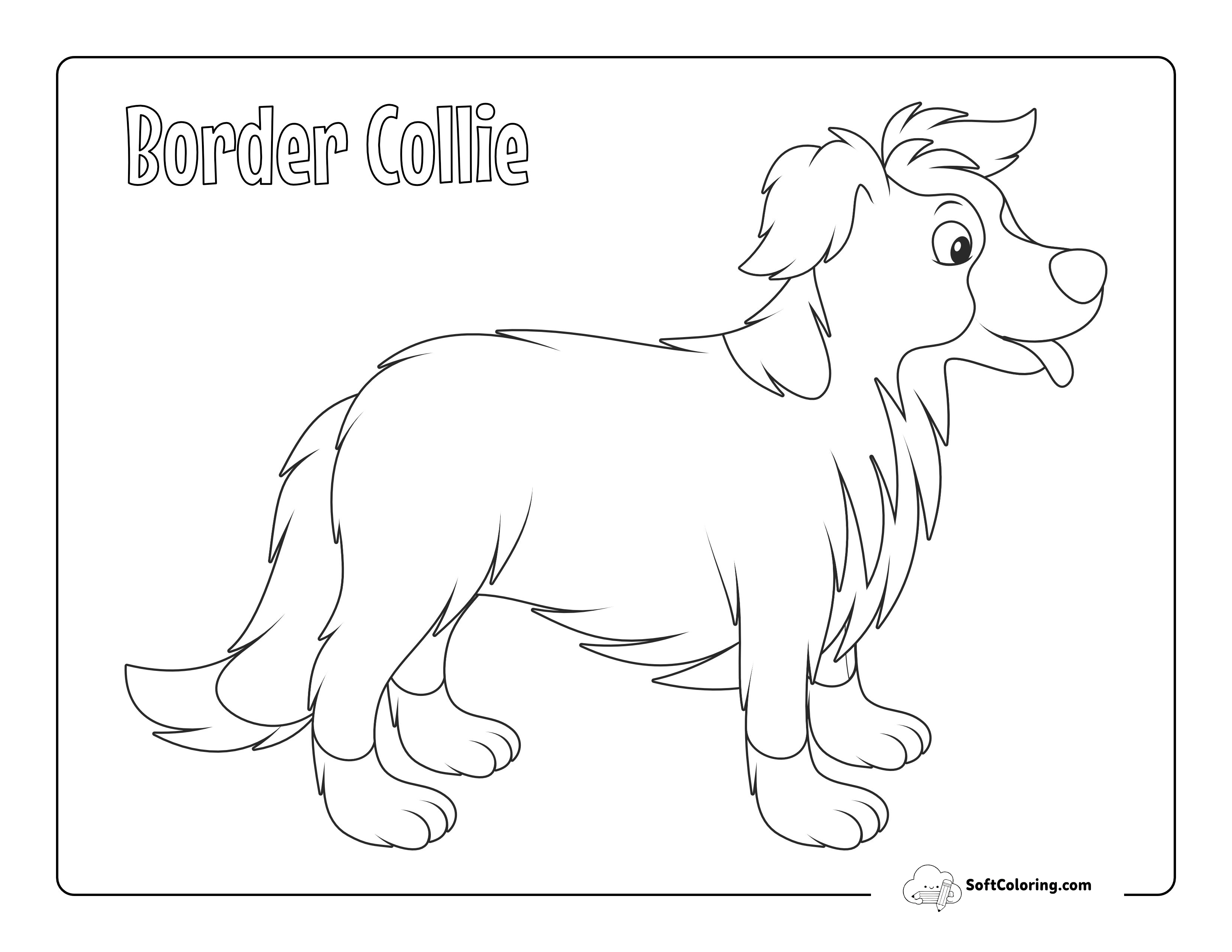 Border Collie Outline To Color