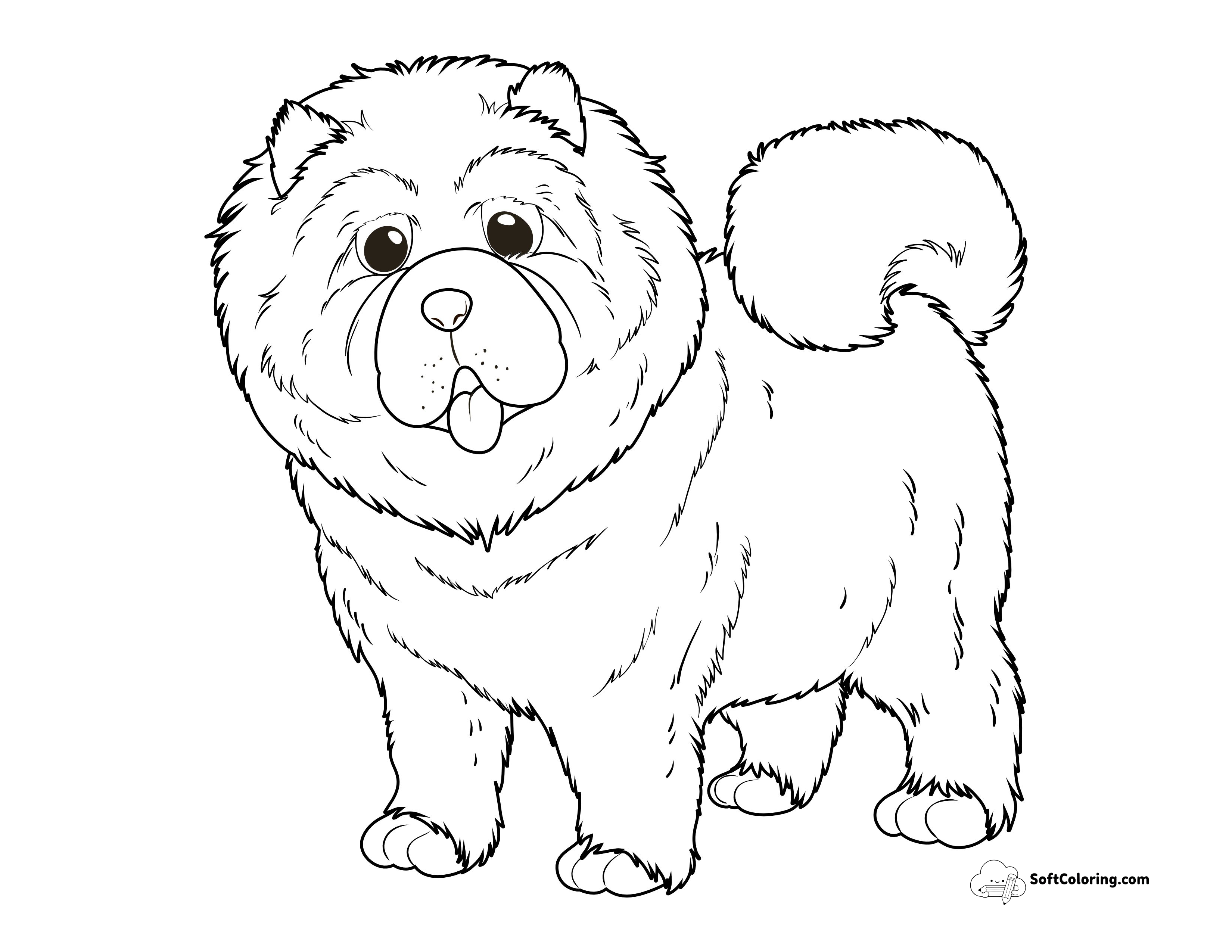 Realistic Chow Chow Coloring Sheet