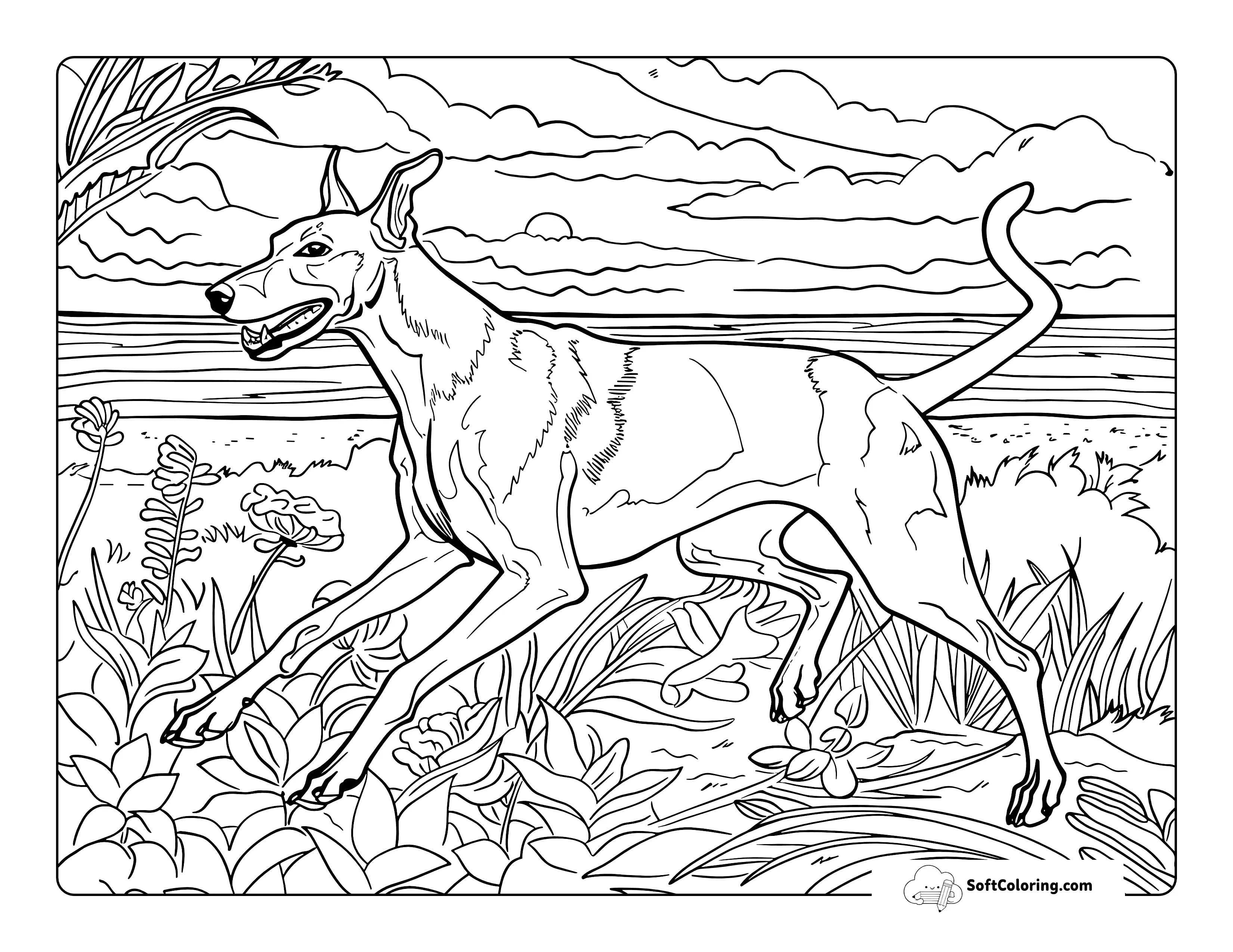 Greyhound Running On Beach Dog Coloring Page For Adults