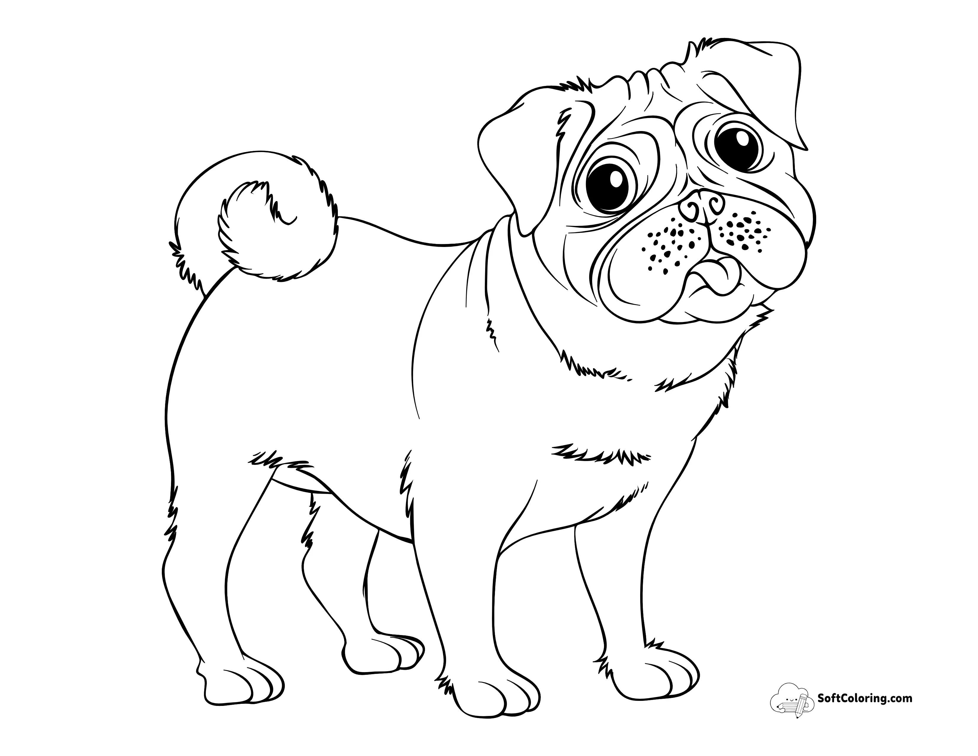 Pug Dog Coloring Sheet