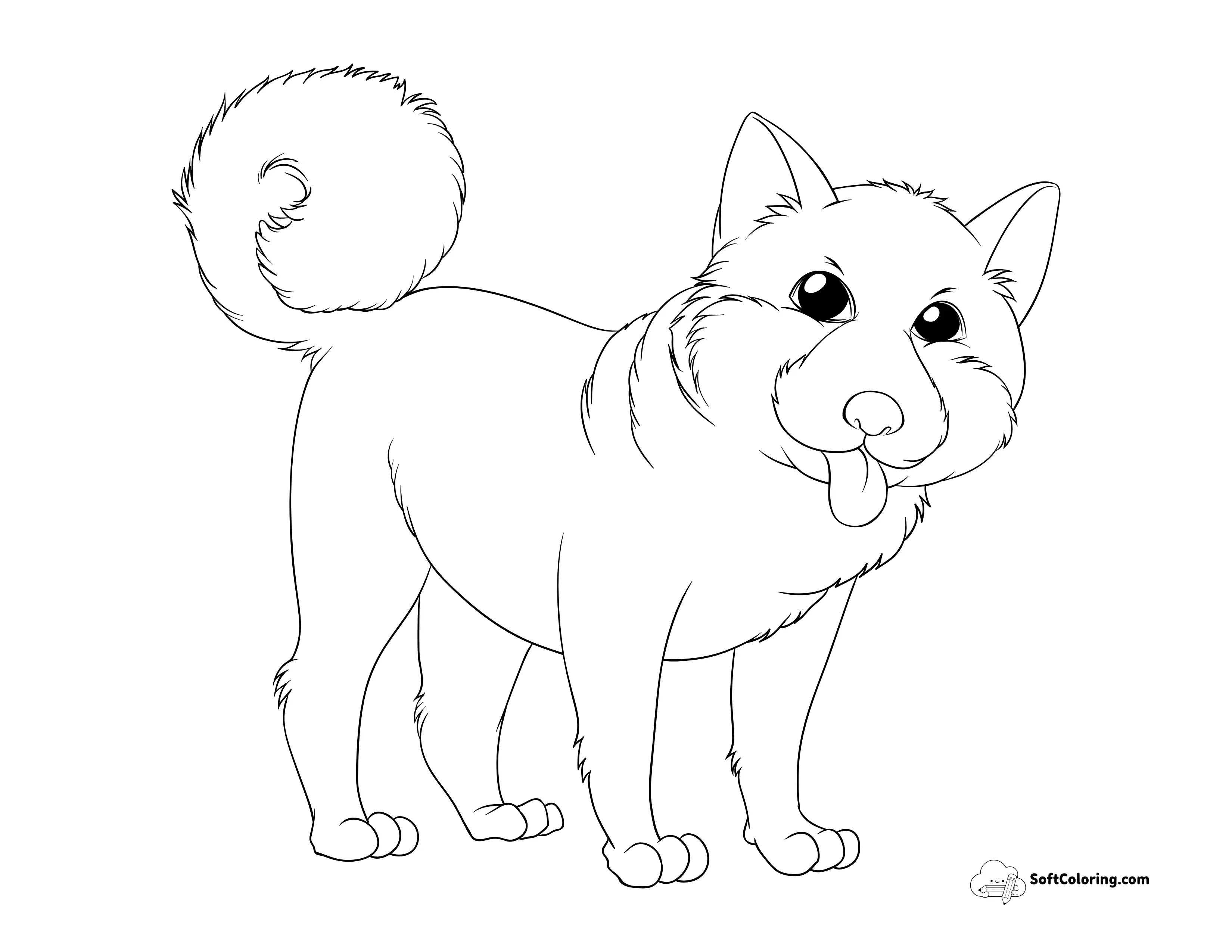 Shiba Inu Dog Outline To Color