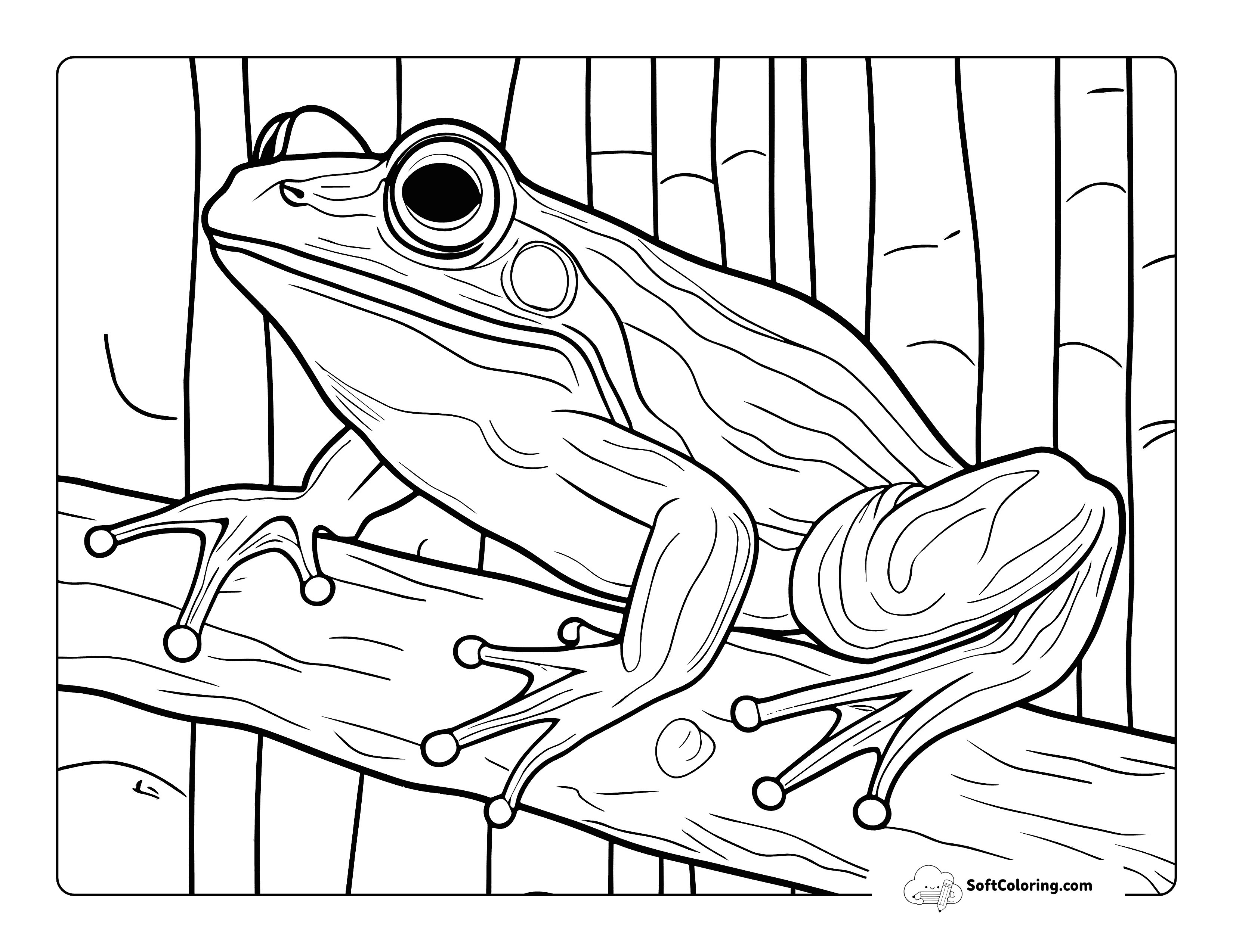 Simple And Realistic Frog Coloring Page Printable For Teens