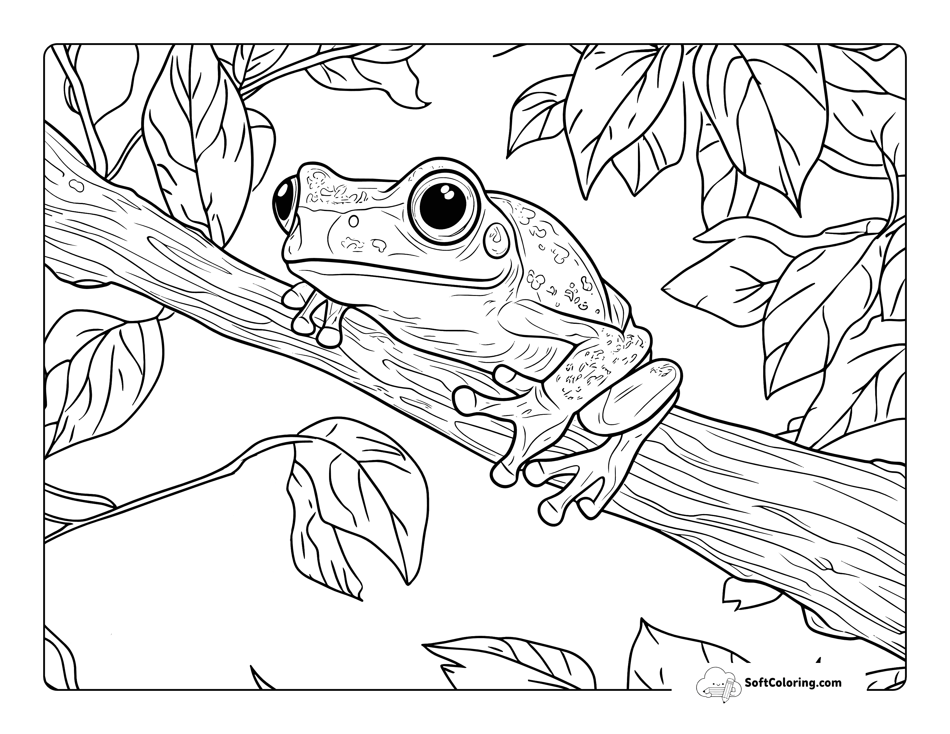 Realistic Tree Frog Coloring Page