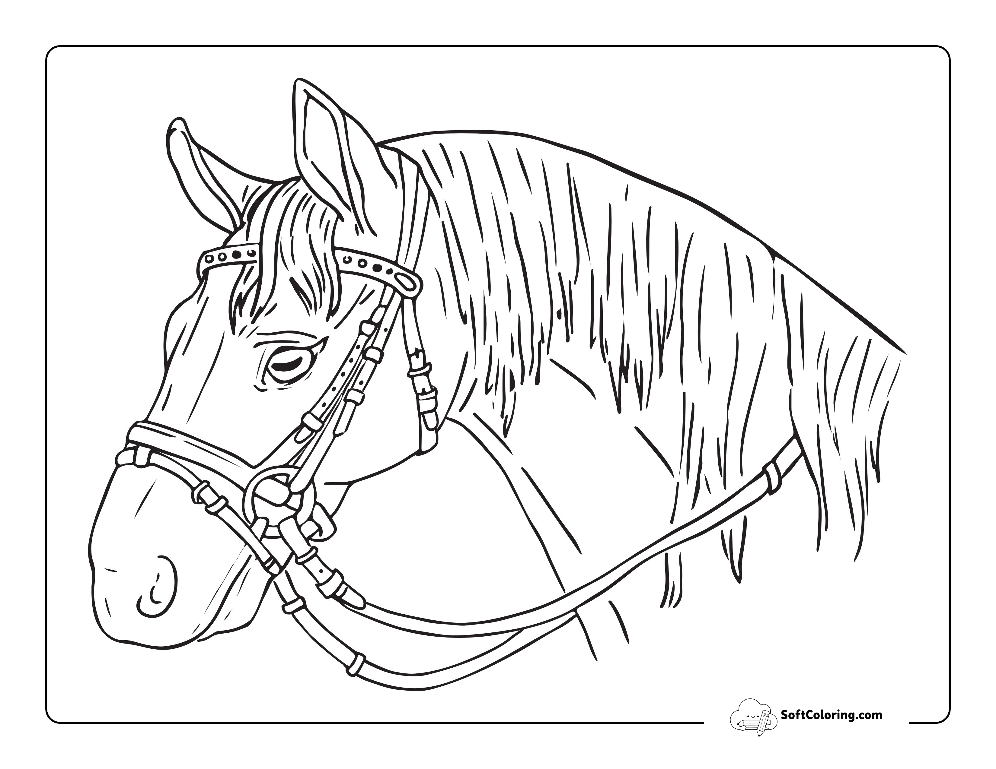 Horse Head With Bridle Coloring Page