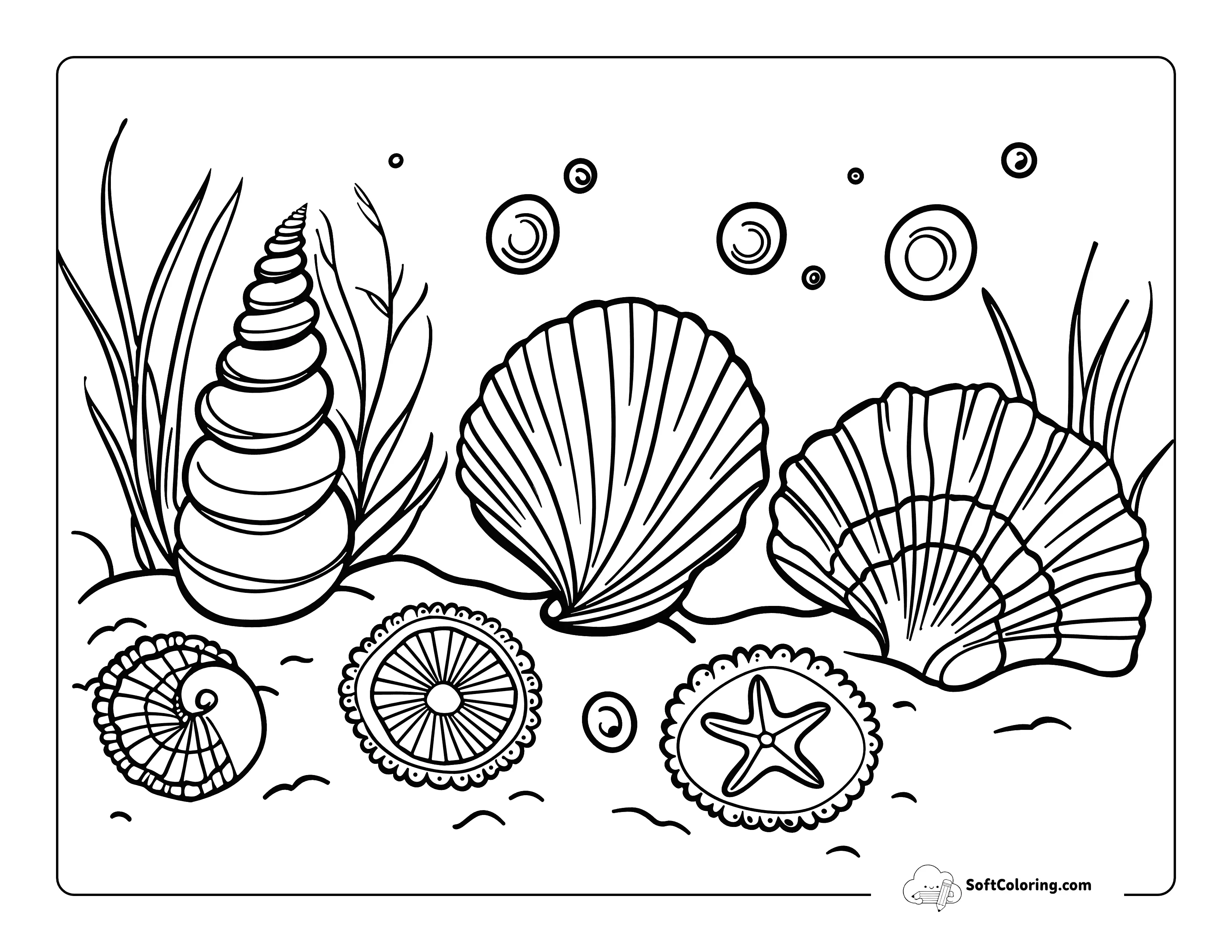 Easy Shells Under The Sea Coloring Sheet