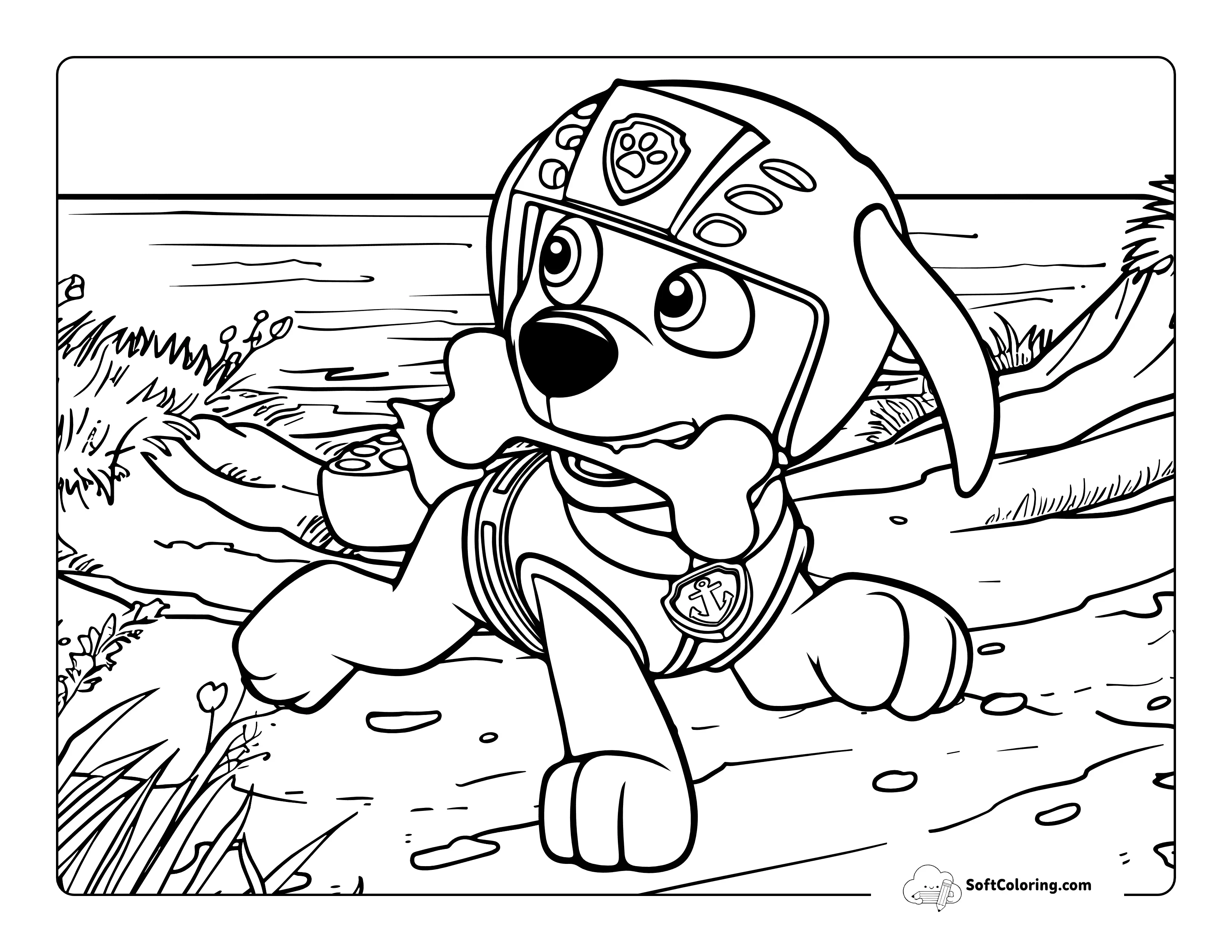 Fun Zuma At Beach Paw Patrol