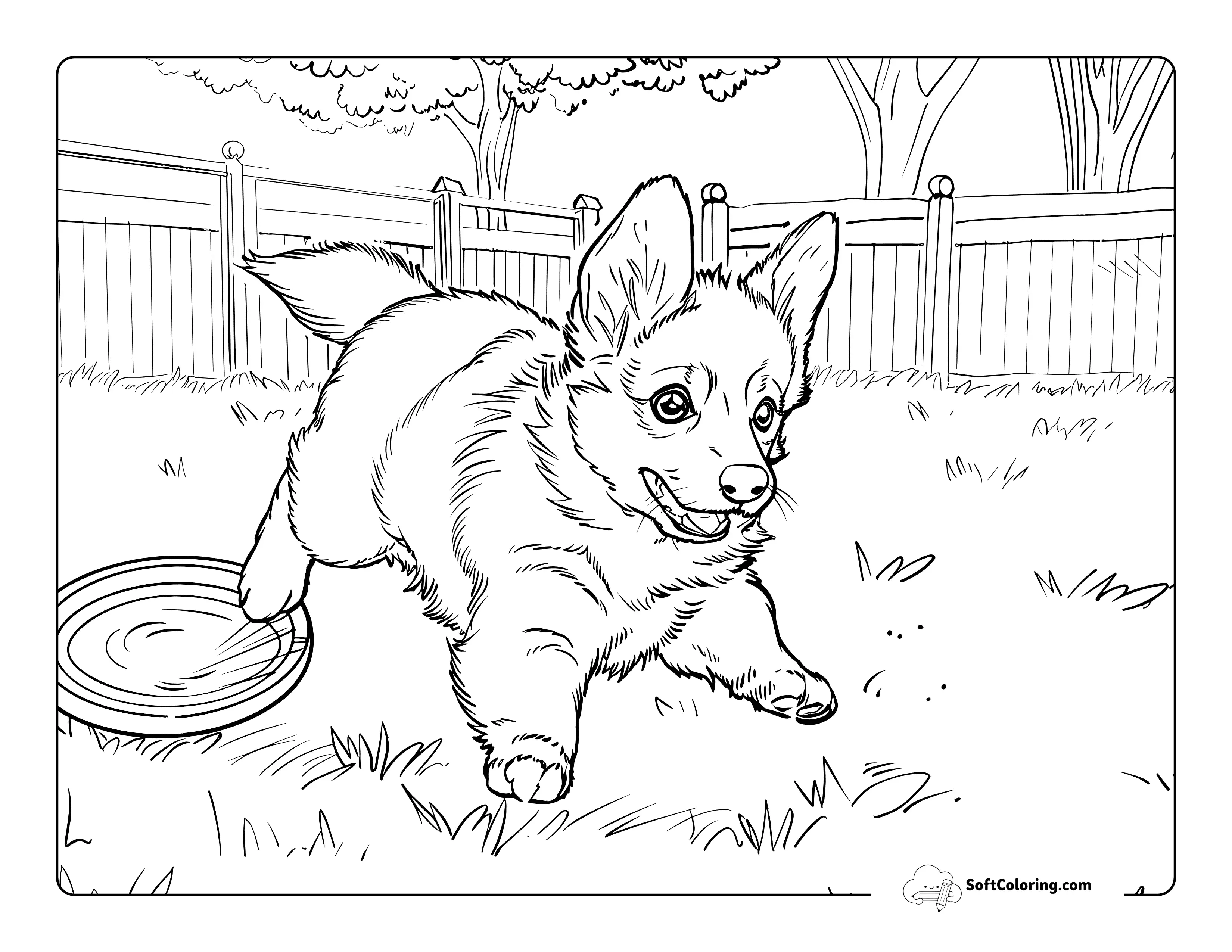 Cute Corgi Puppy Playing Frisbee Coloring Scene