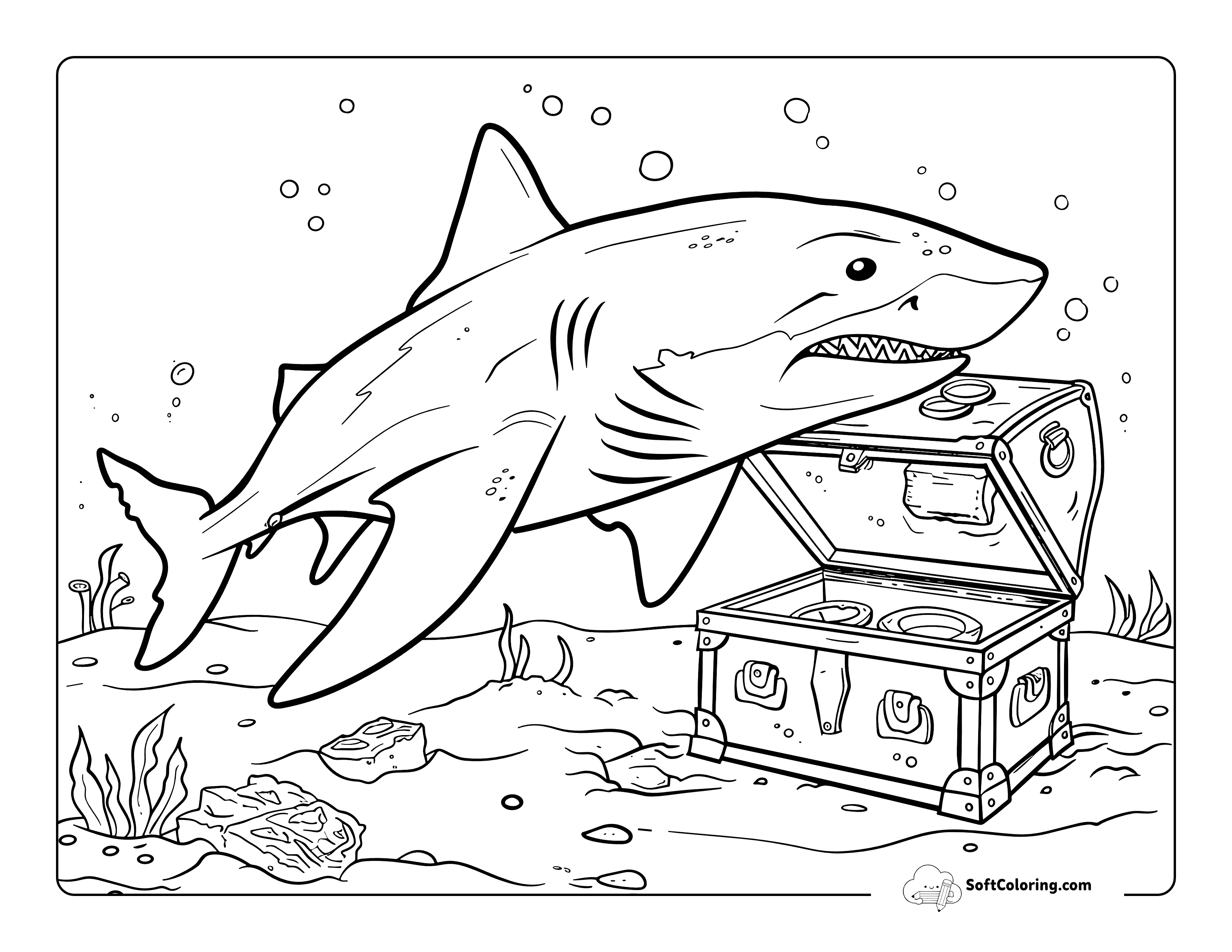 Bull Shark & Buried Treasure Coloring For Adults