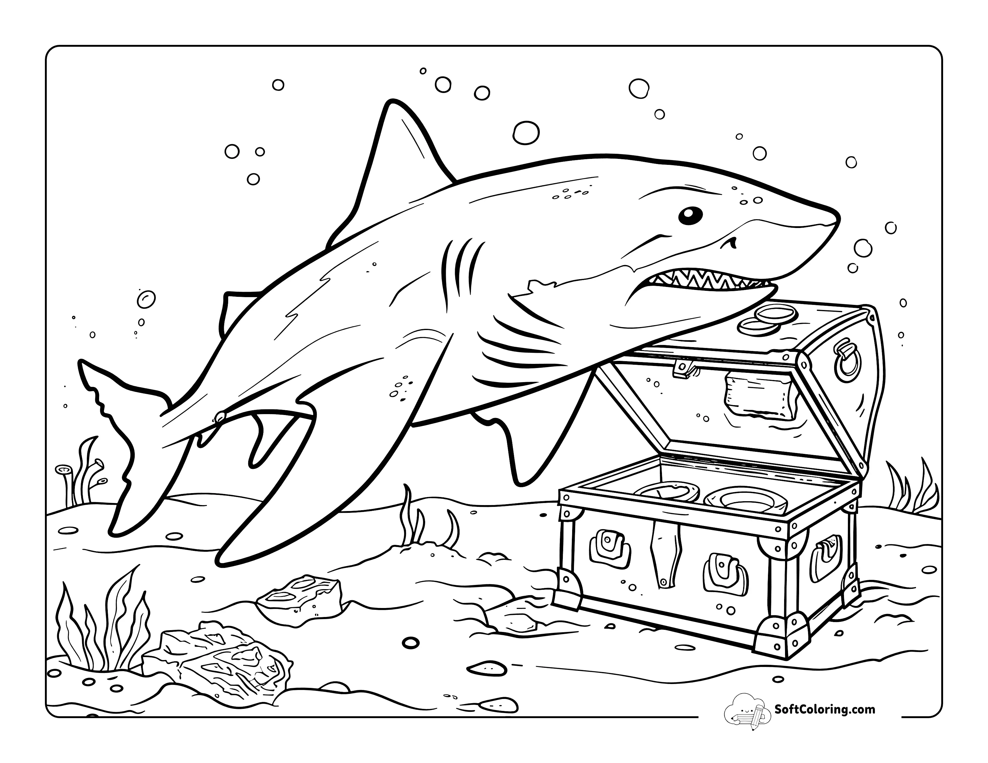 Bull Shark & Buried Treasure Coloring For Adults