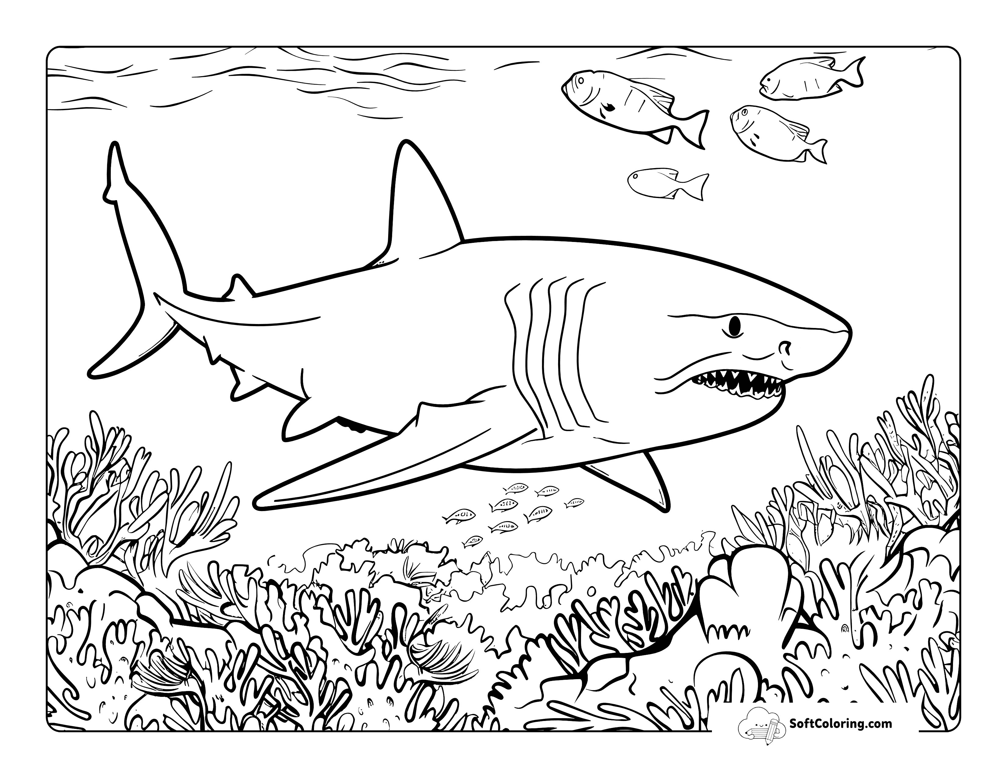 Detailed Great White Shark Coral Reef Ocean Scene