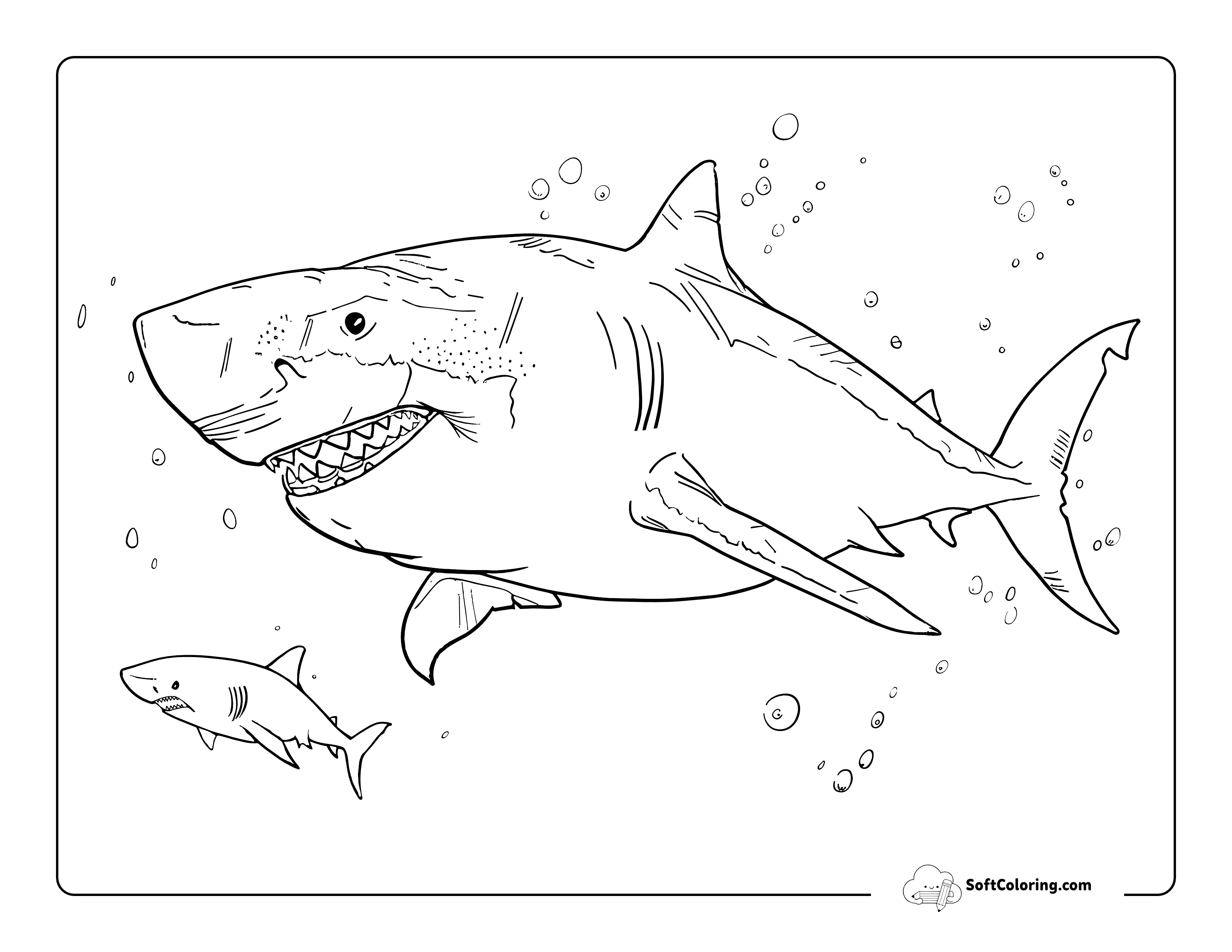 Detailed Predatory Megalodon For Teens And Adults