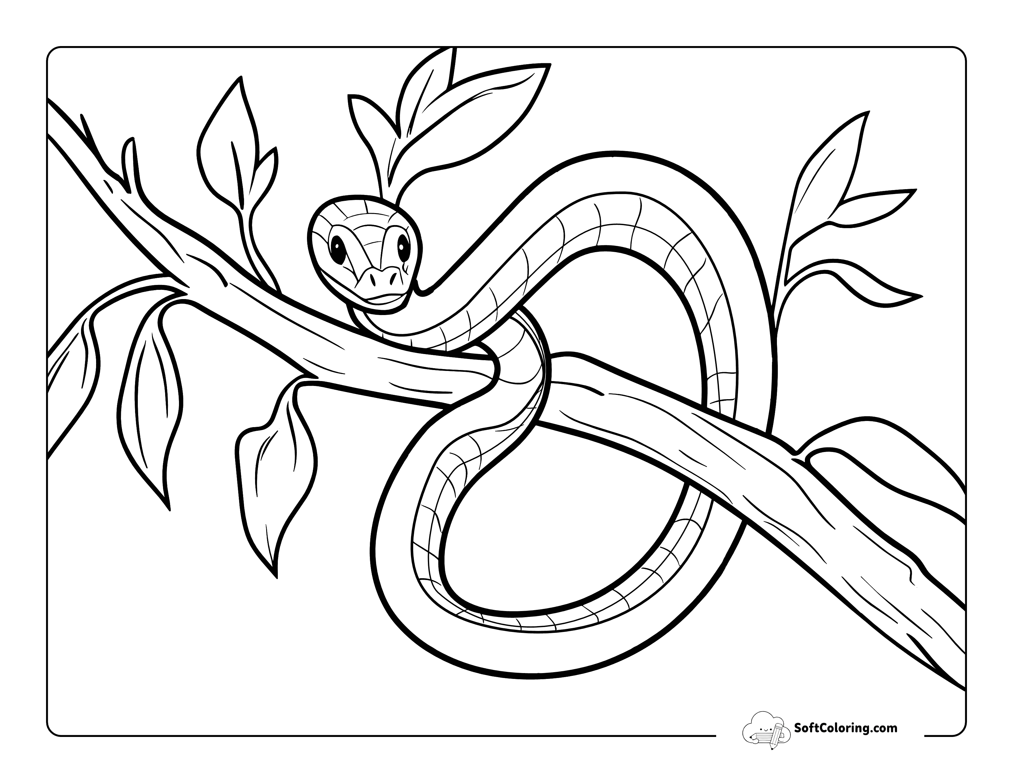 Cute And Easy Snake On Branch Picture To Color