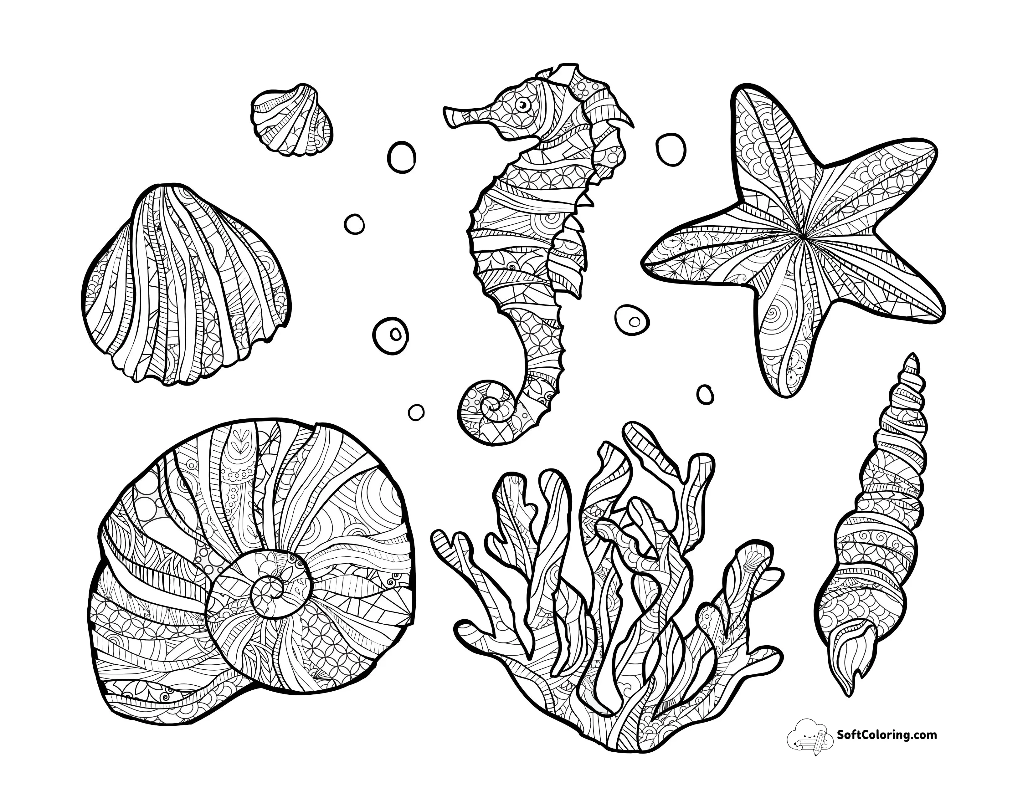 Printable Detailed Sea Shells Under The Sea Coloring Sheet
