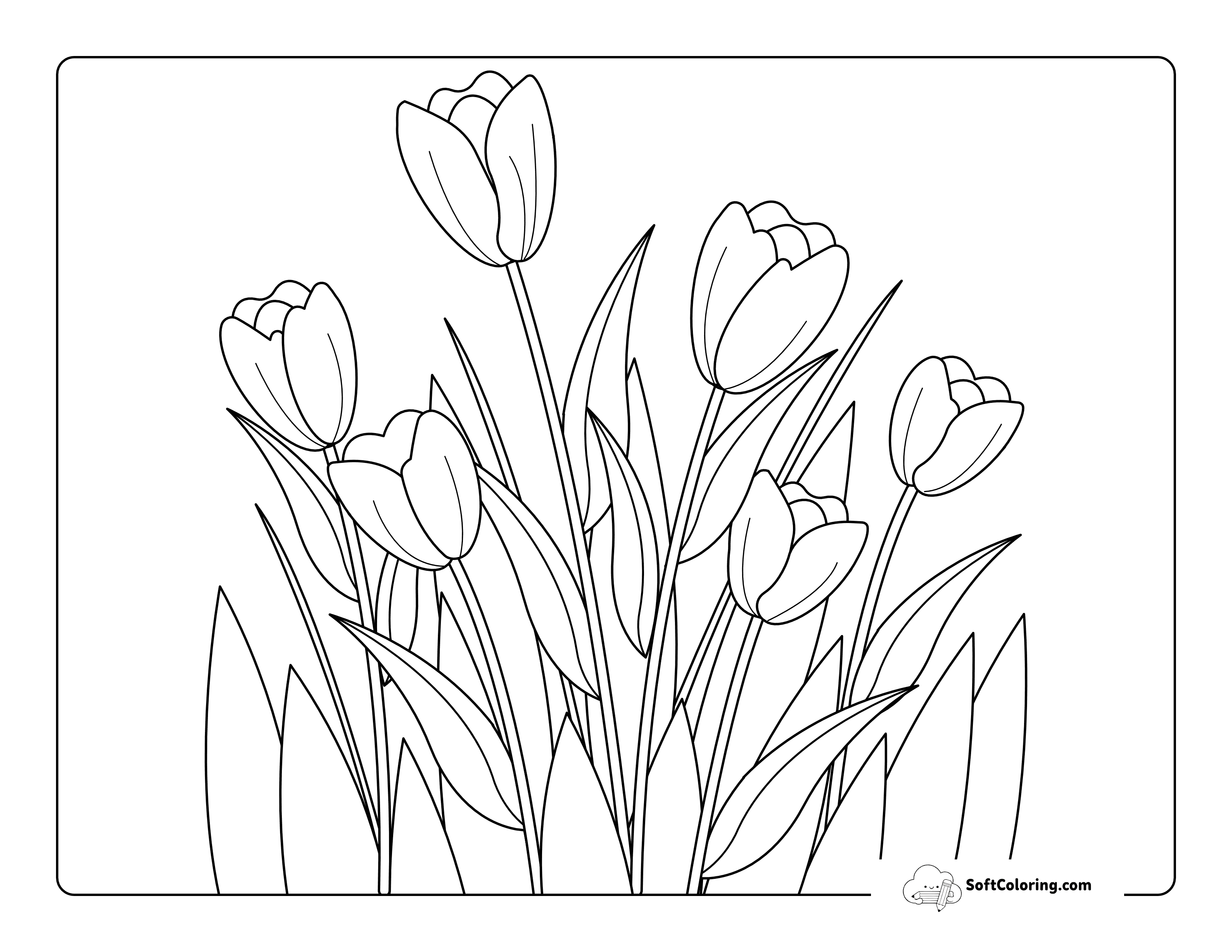 Simple Bunch Of Tulips Outline To Color