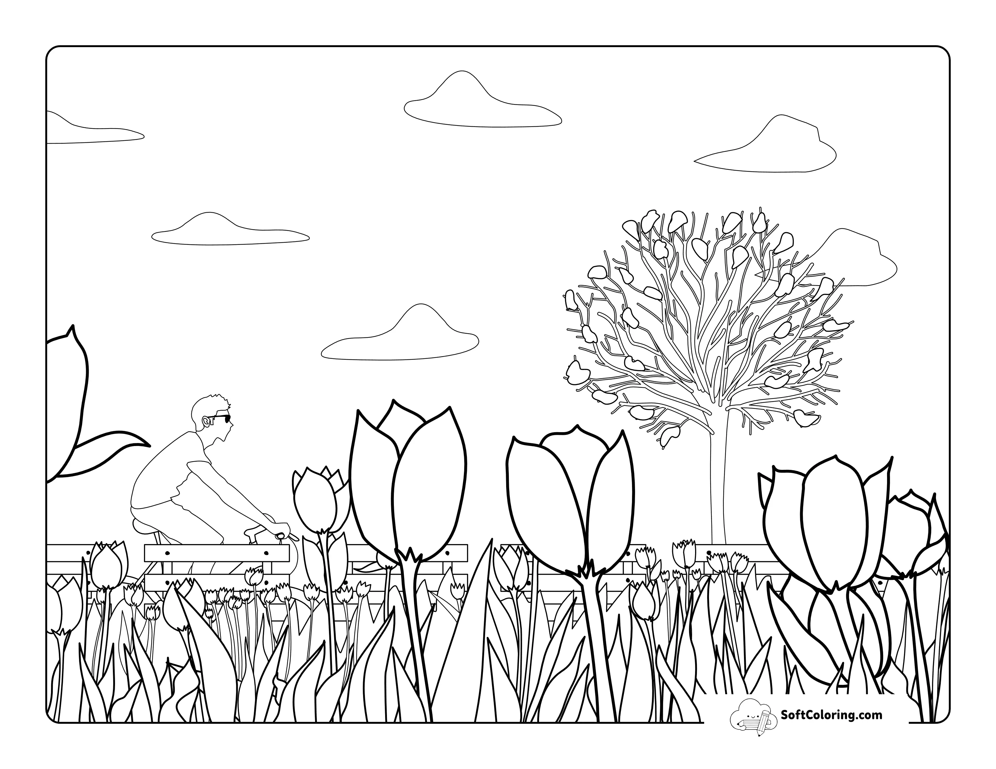 Cyclist And Field Of Tulips Coloring Page