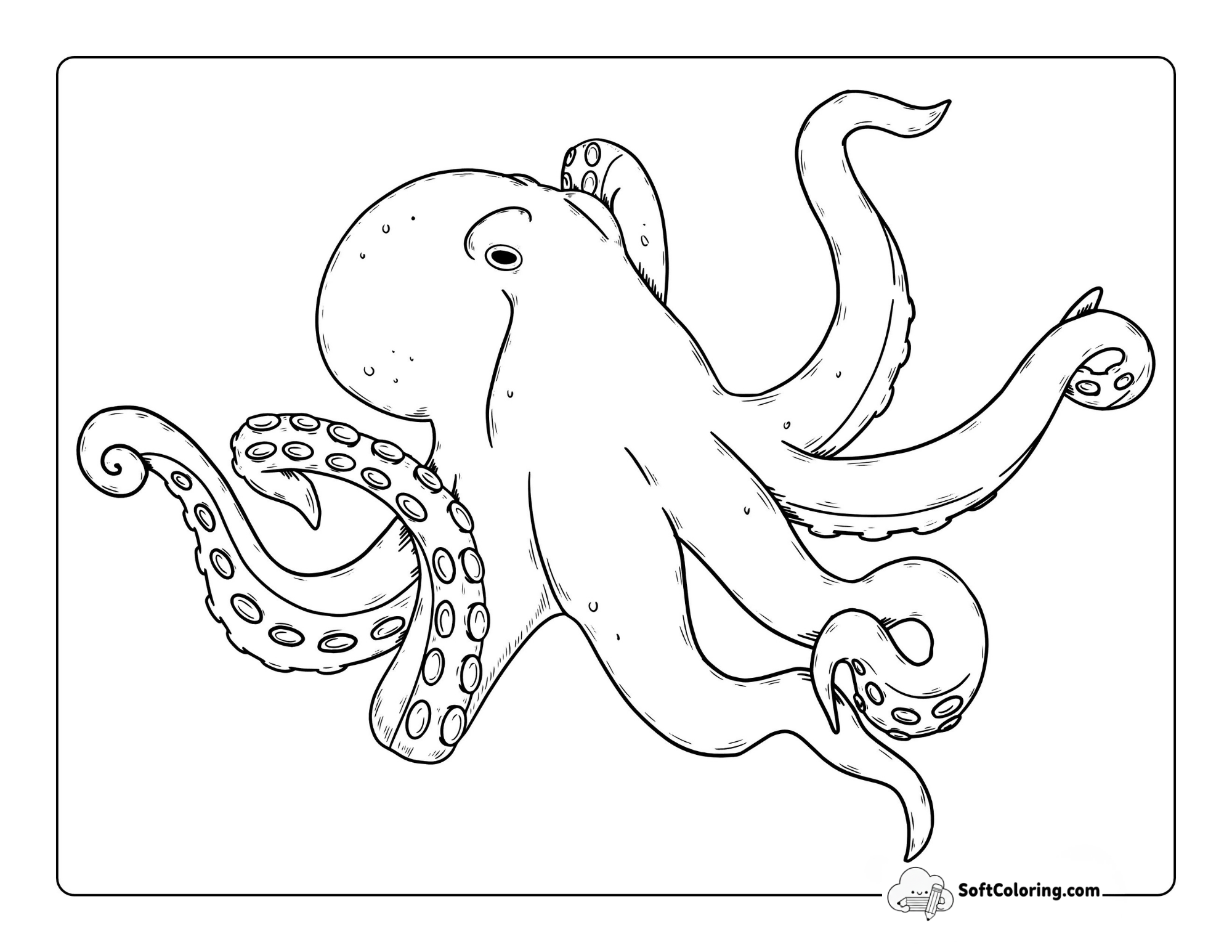 Realistic Octopus To Color