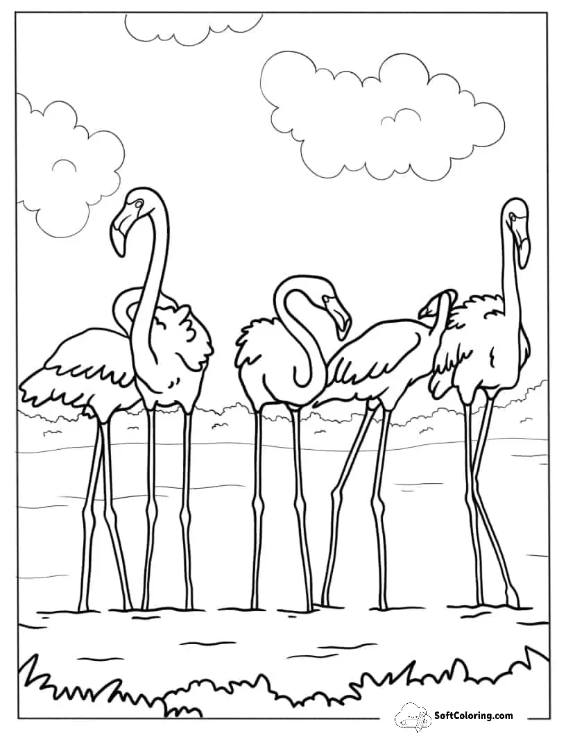 A Flamboyance Of Flamingos Coloring Page