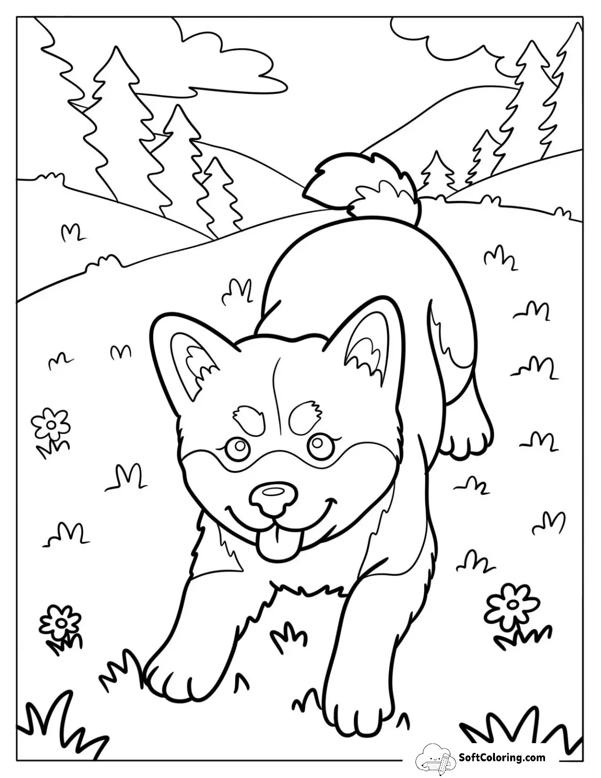 Adorable Akita Puppy Doing A Play Bow On A Flower Field